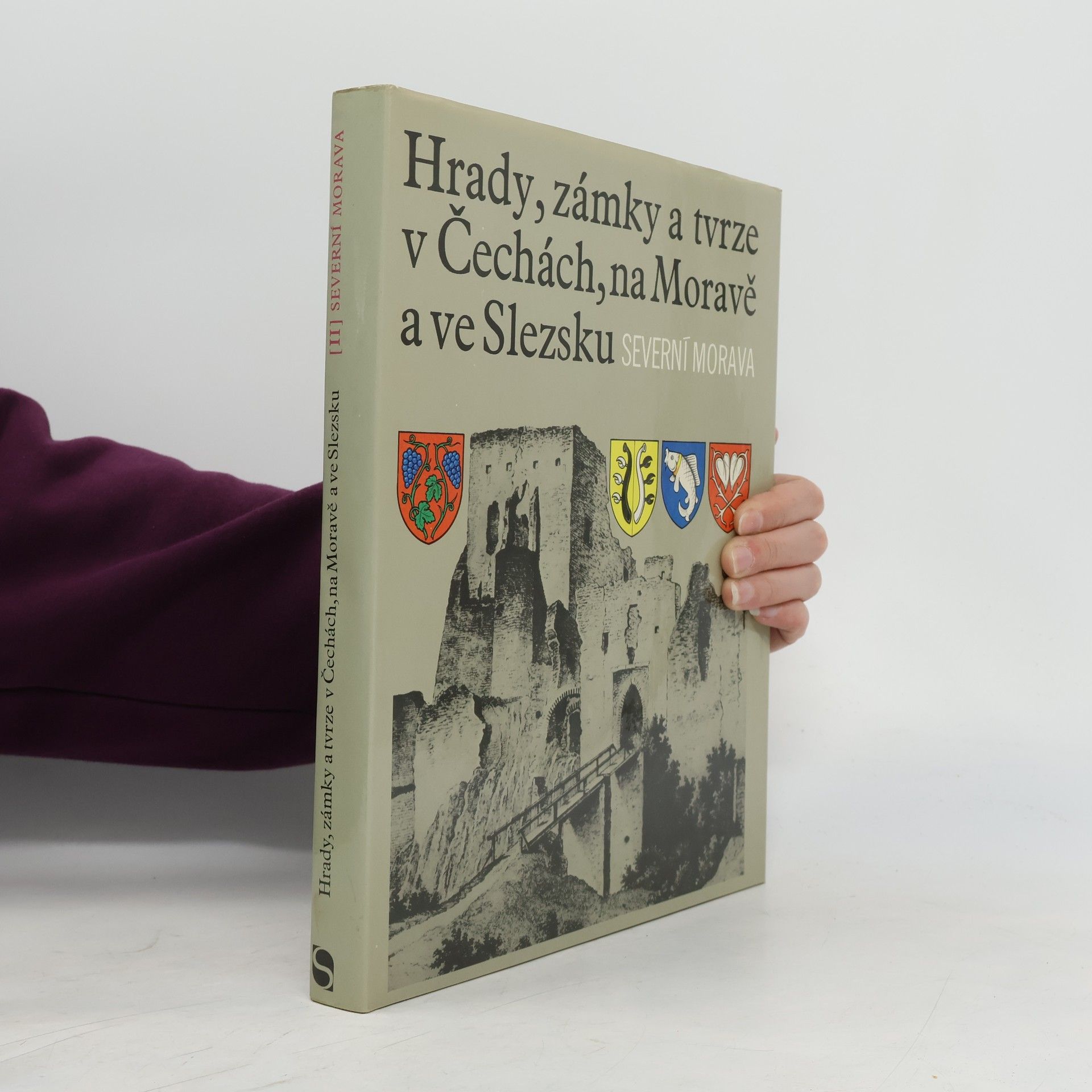 Kolektiv autorů Hrady, zámky a tvrze v Čechách, na Moravě a ve Slezsku II. Severní Morava