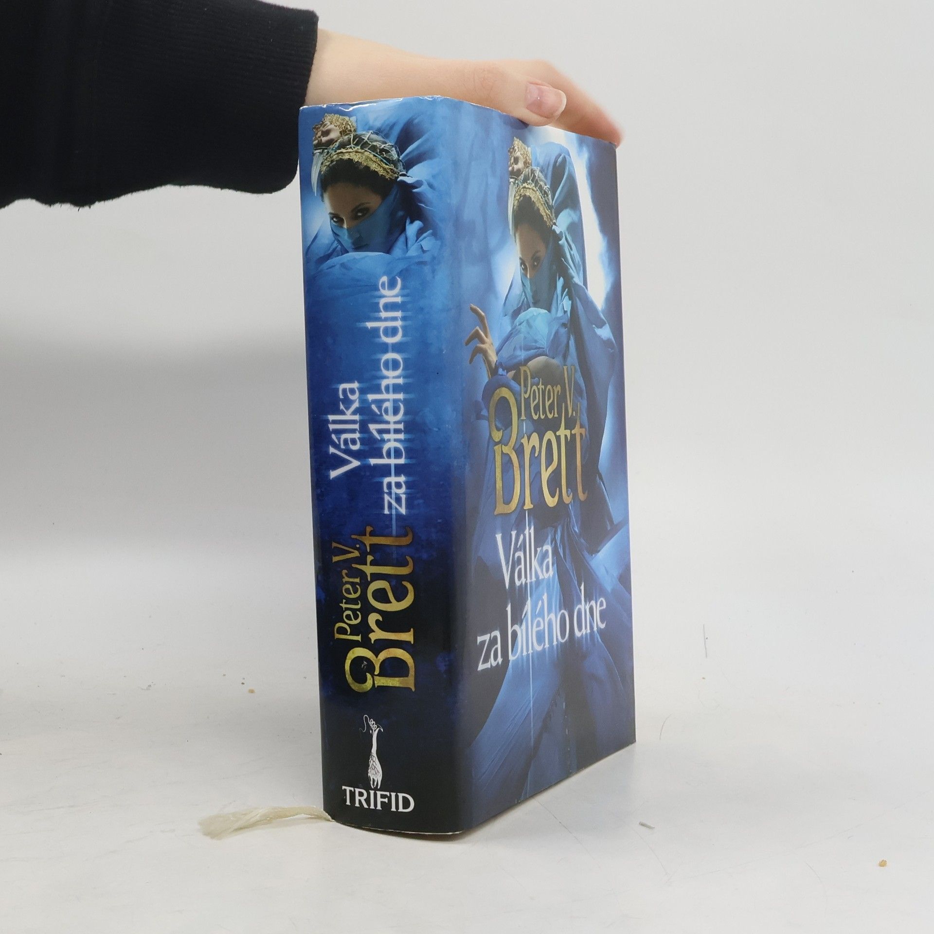 Peter V. Brett Válka za bílého dne