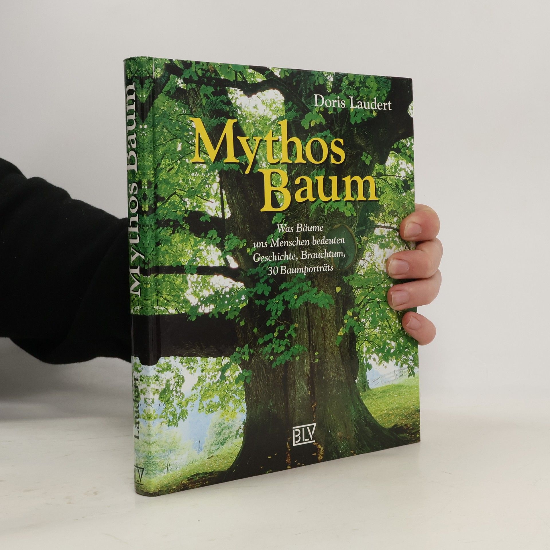 Doris Laudert Mythos Baum