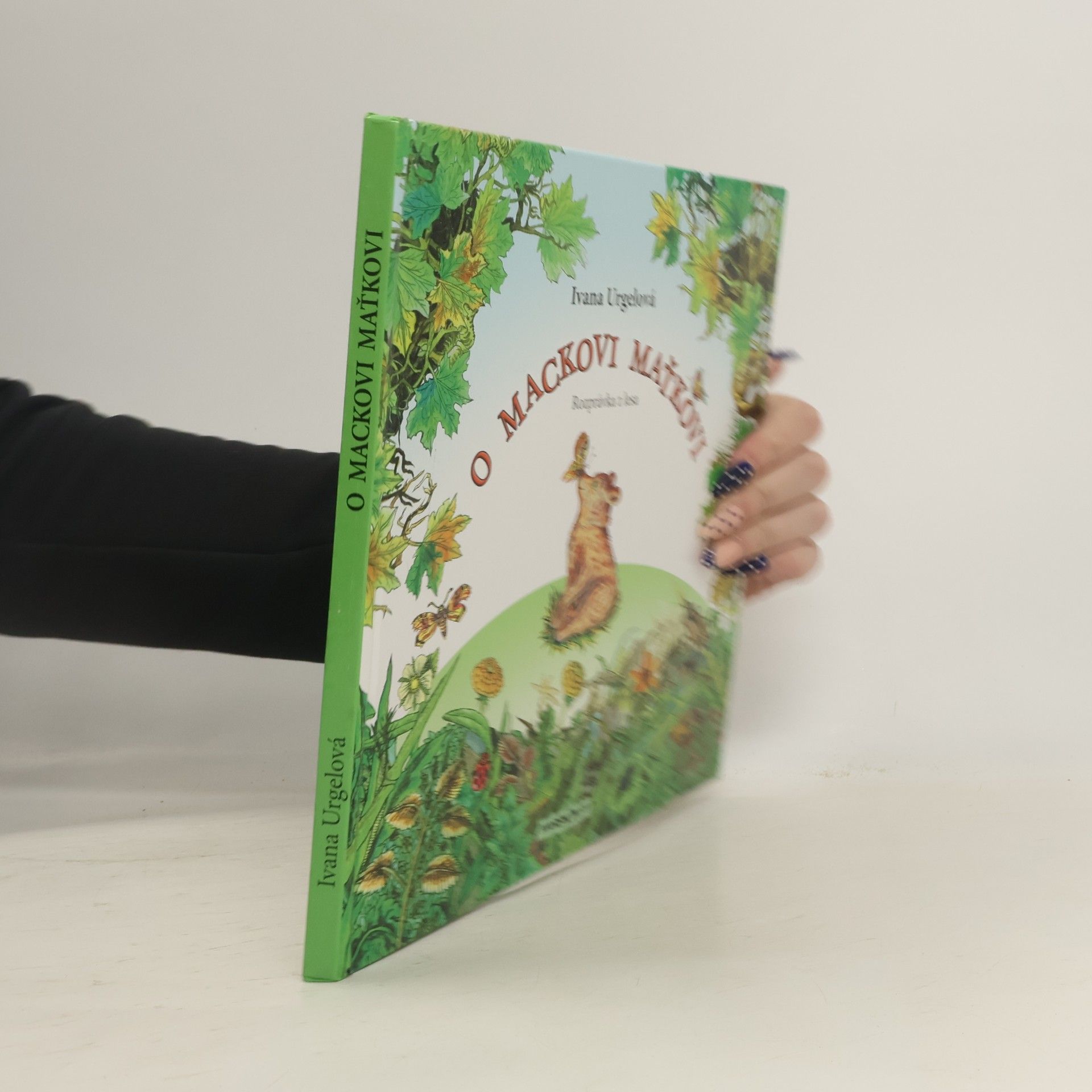 Ivana Urgelová O mackovi Maťkovi