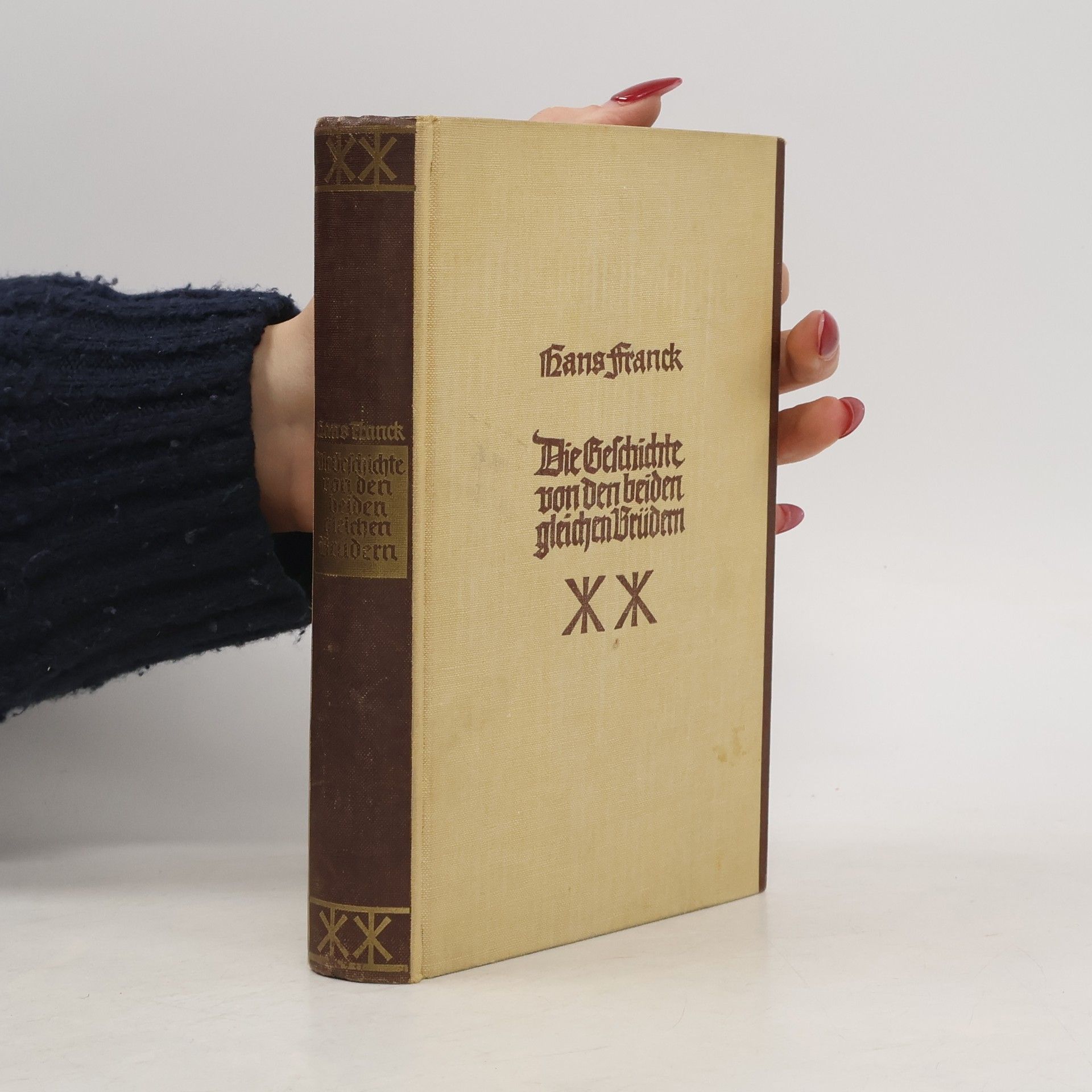 Hans Franck Die Geschichte von den beiden gleichen Brüdern