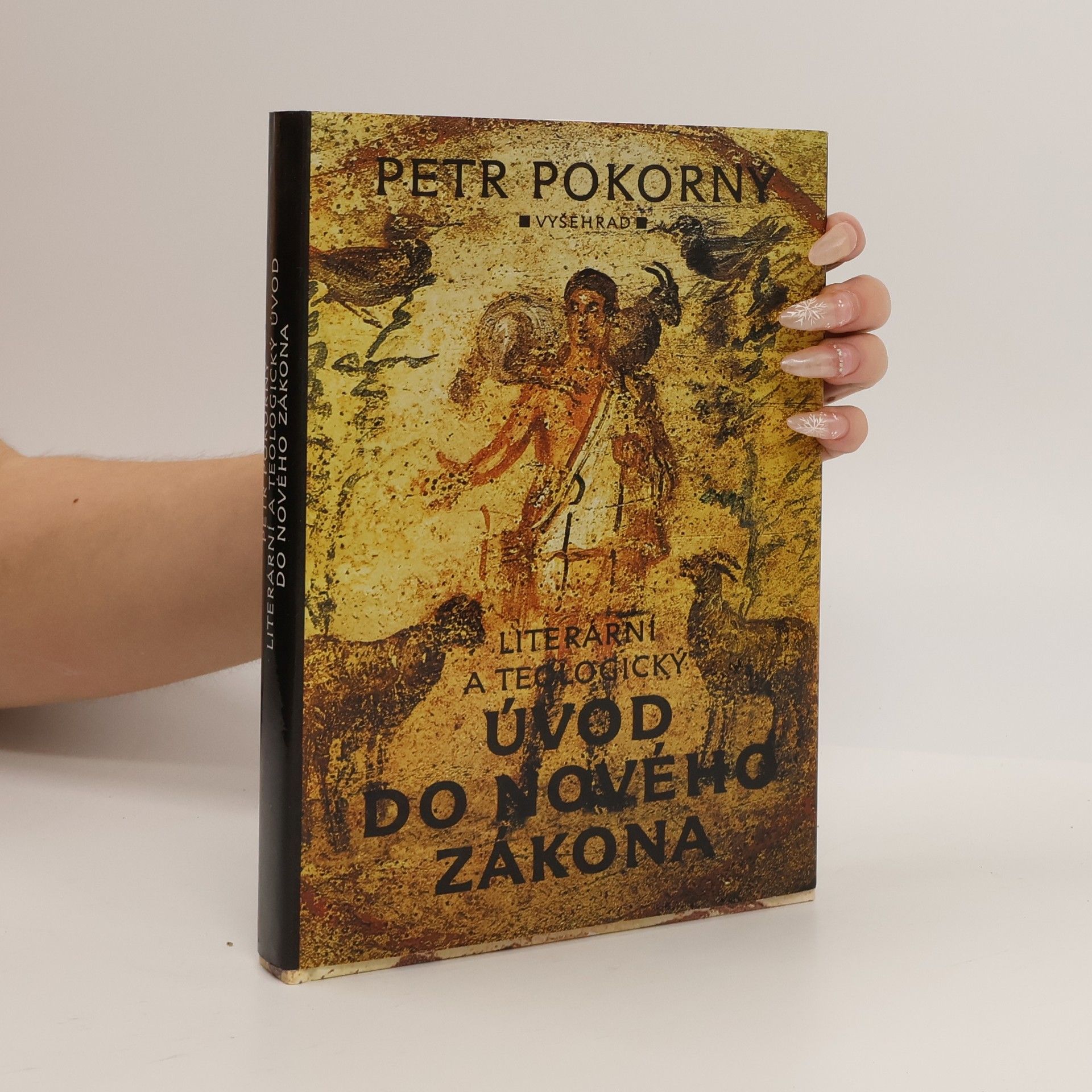 Literární a teologický úvod do Nového zákona