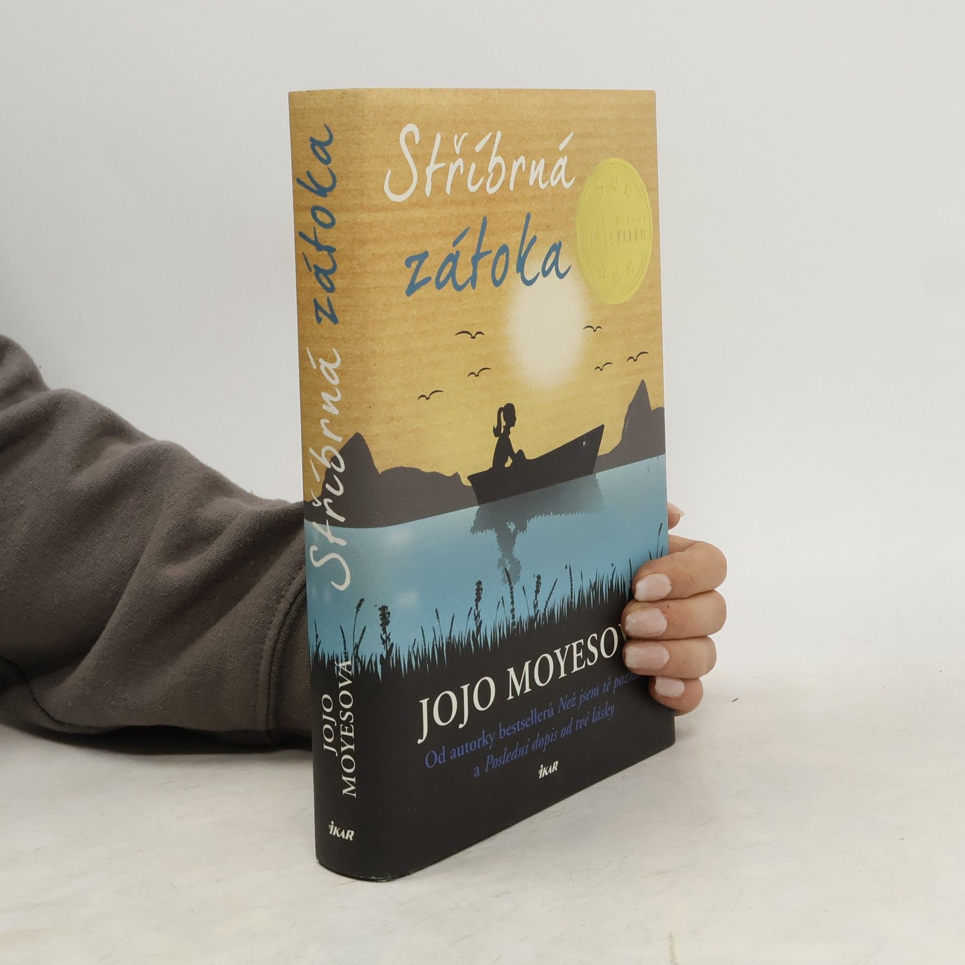 Jojo Moyes Stříbrná zátoka