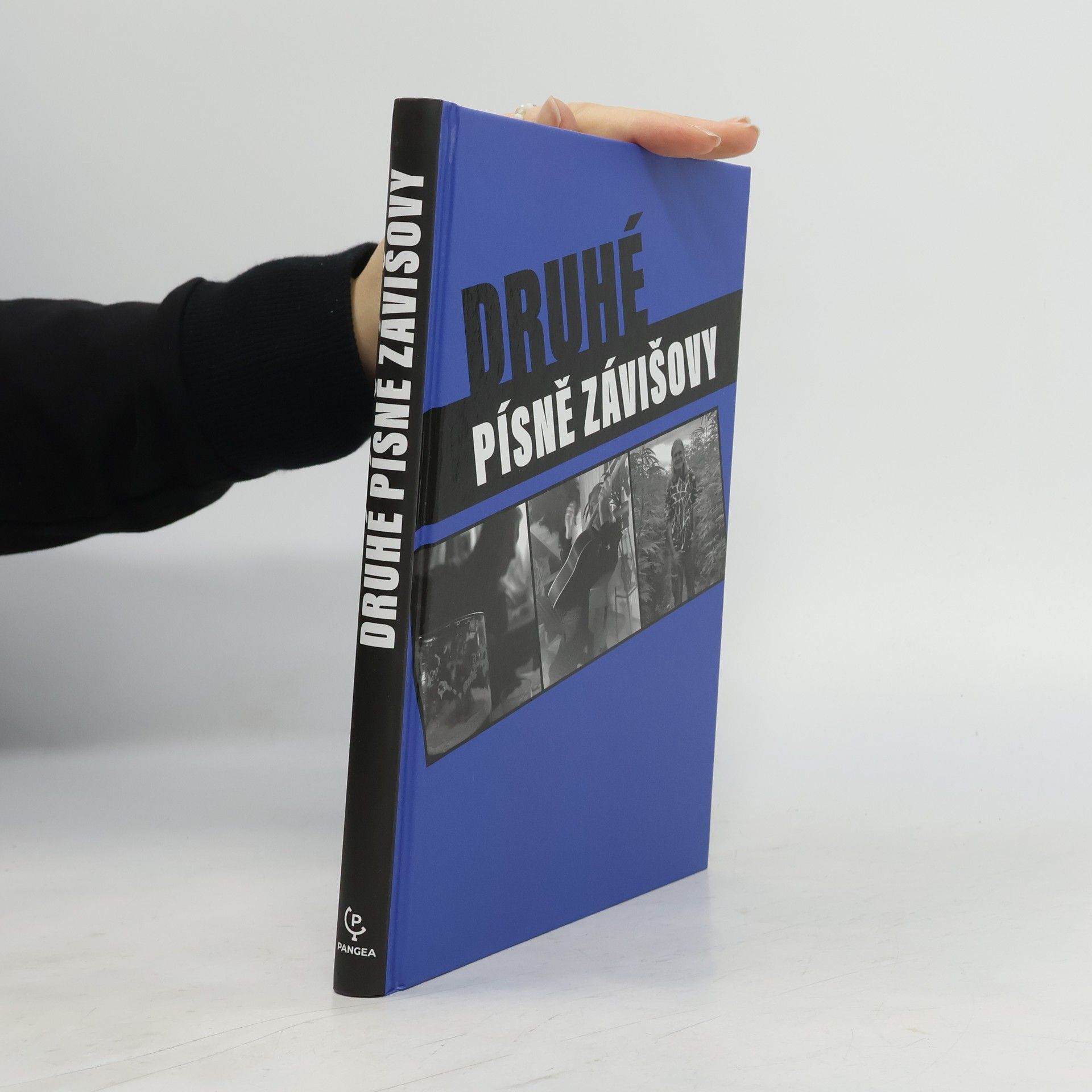 Druhé písně Závišovy