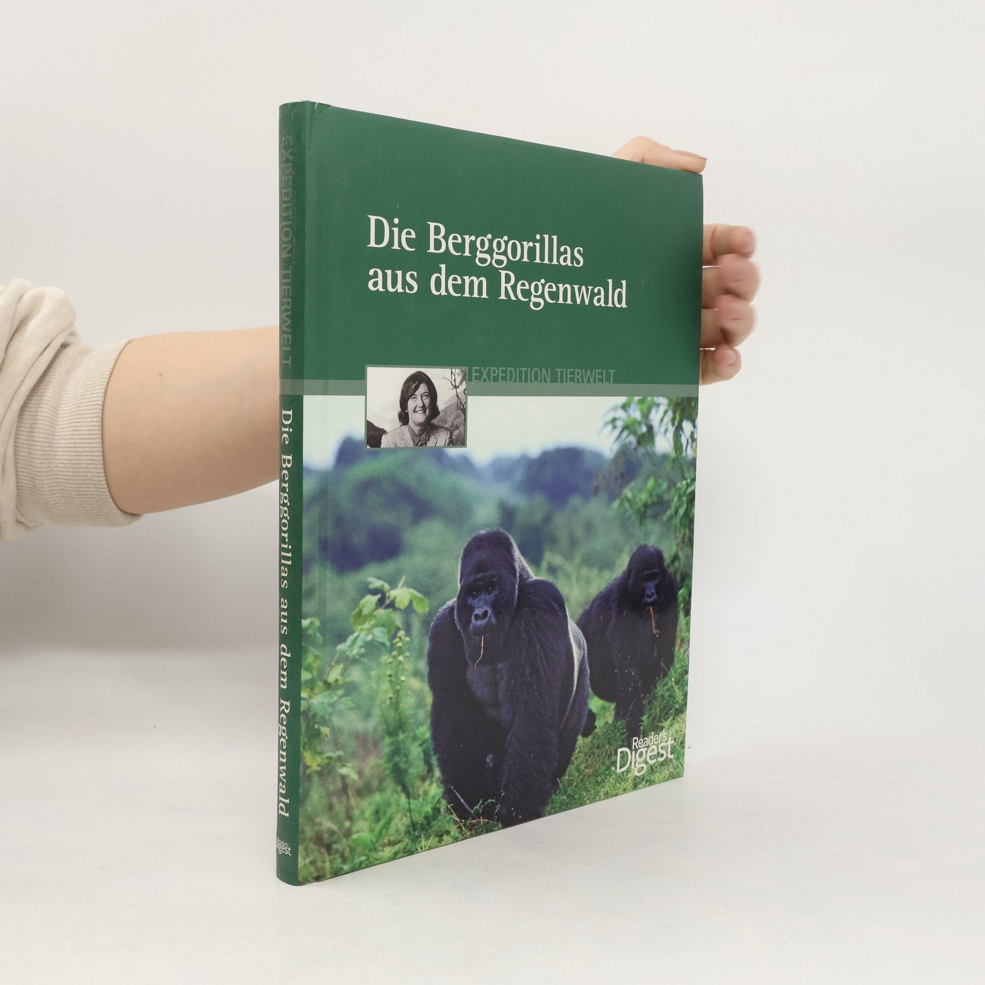 Kerstin Viering Die Berggorillas aus dem Regenwald