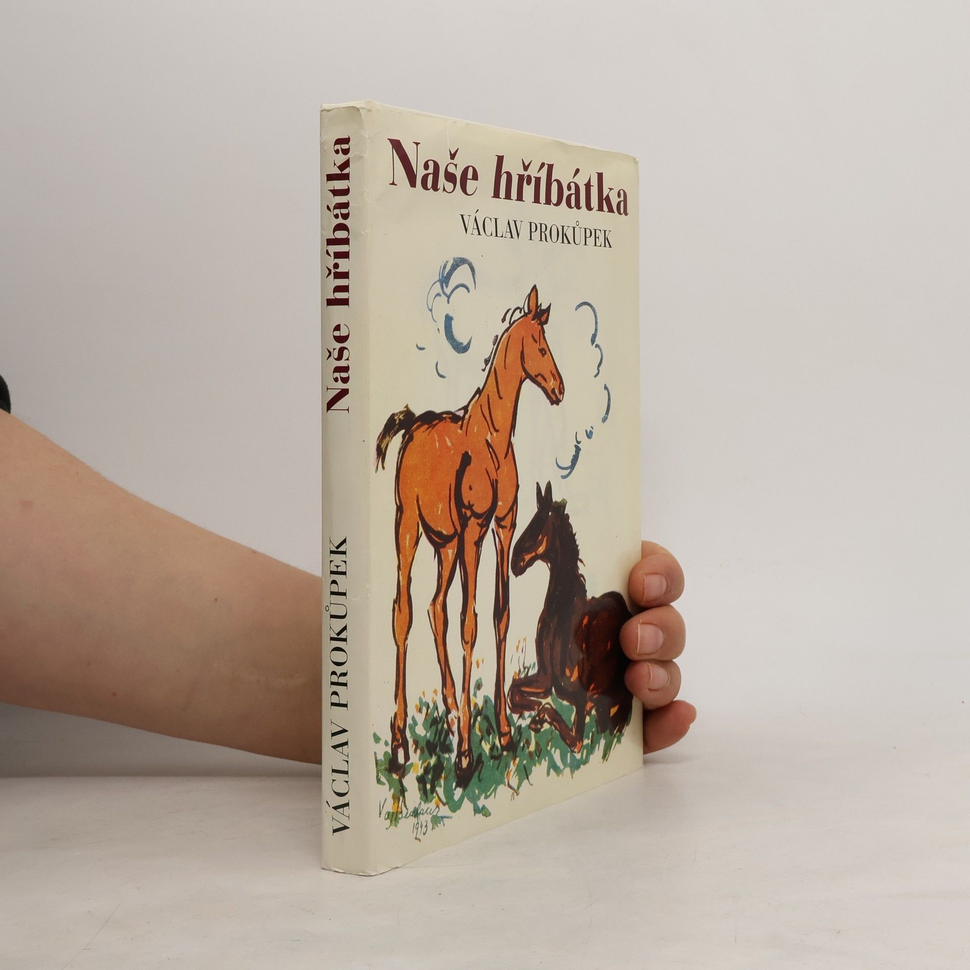 Václav Prokůpek Naše hříbátka