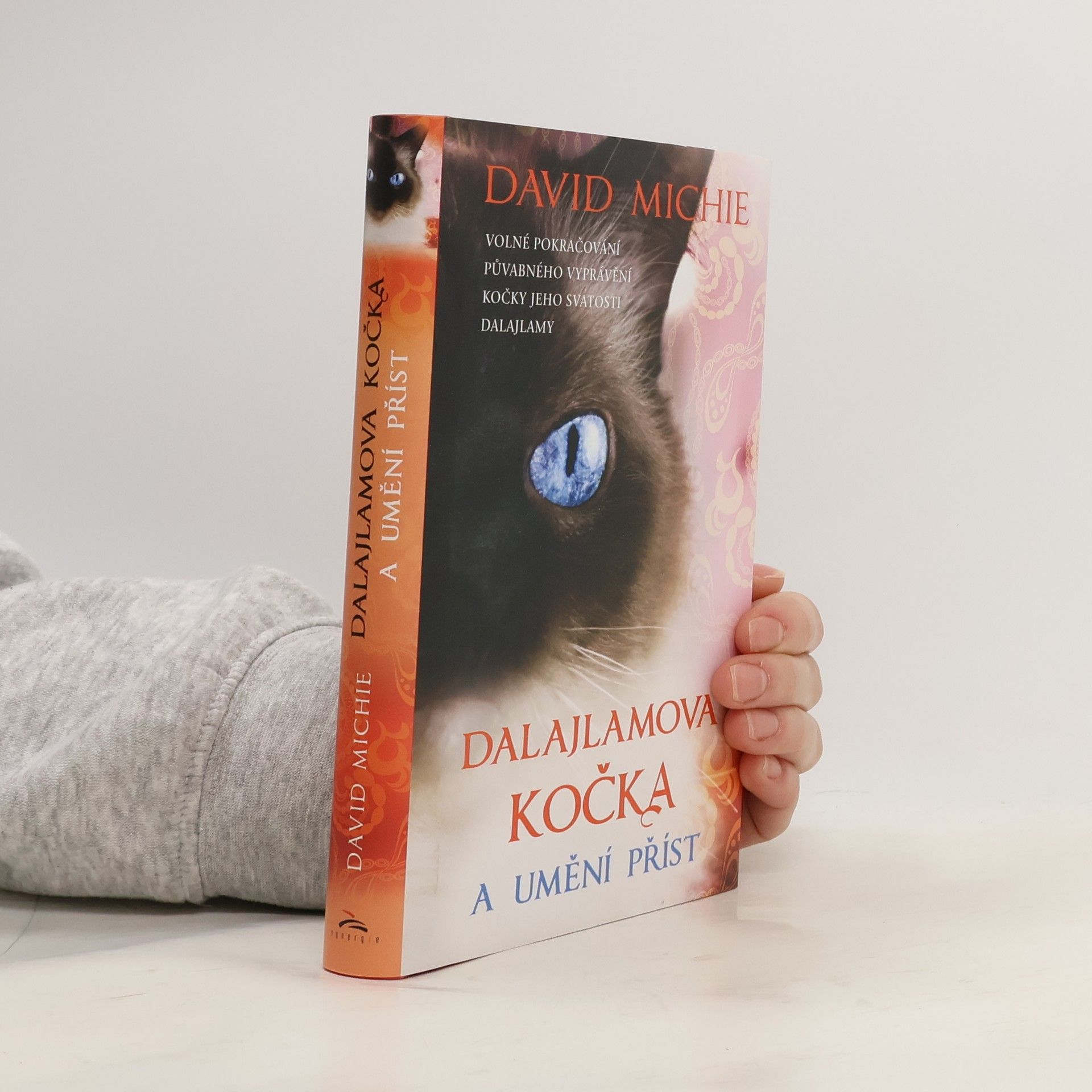 David Michie Dalajlamova kočka a umění příst
