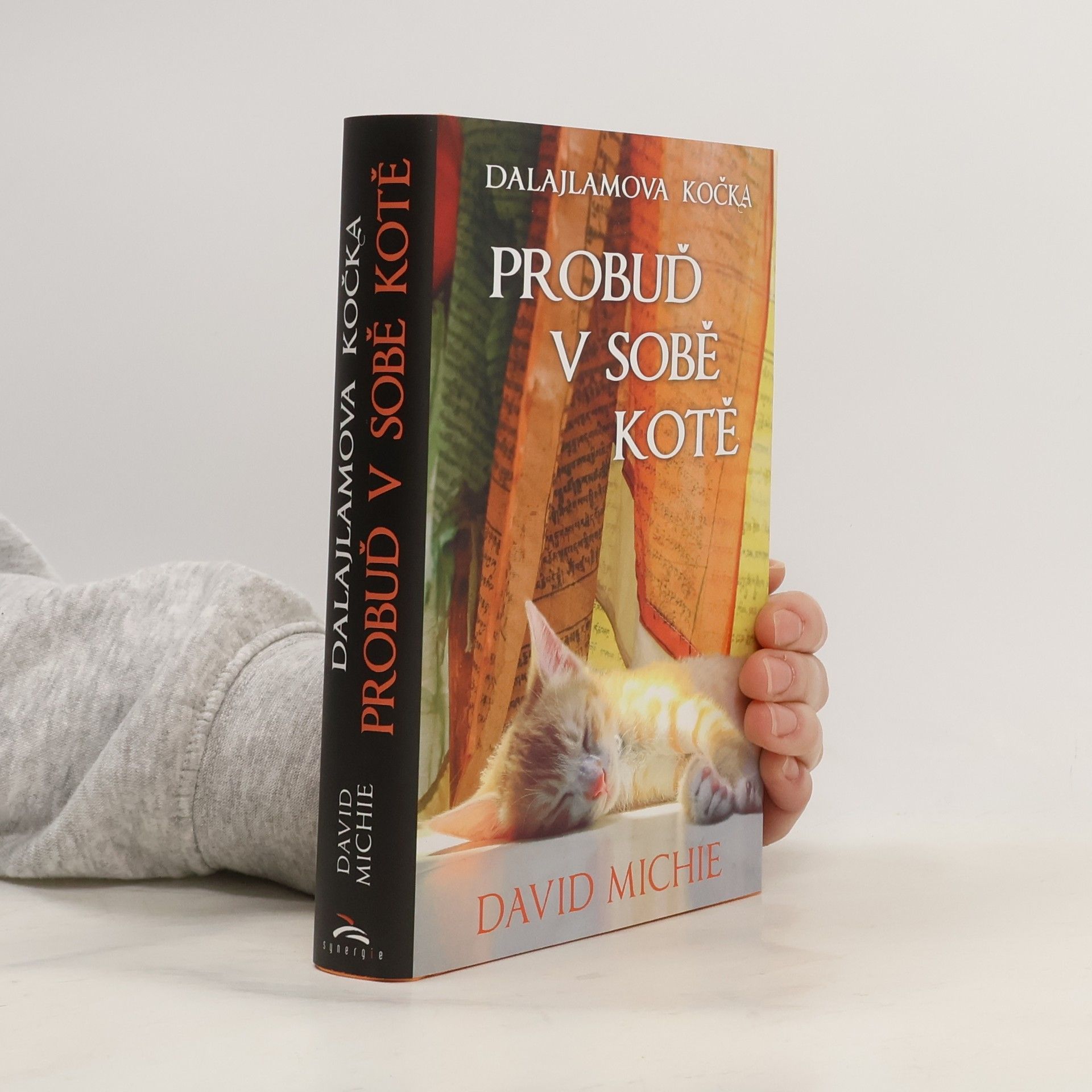 Dalajlamova kočka - probuď v sobě kotě