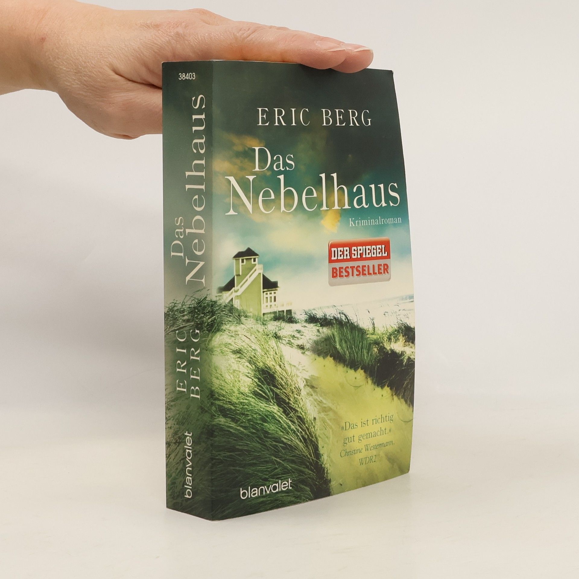 Eric Berg Das Nebelhaus