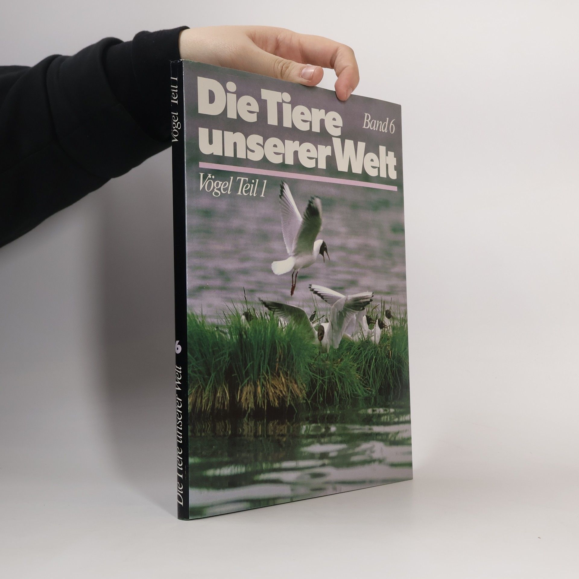 Collectif d'auteurs Die Tiere unserer Welt 6. Vögel Teil 1