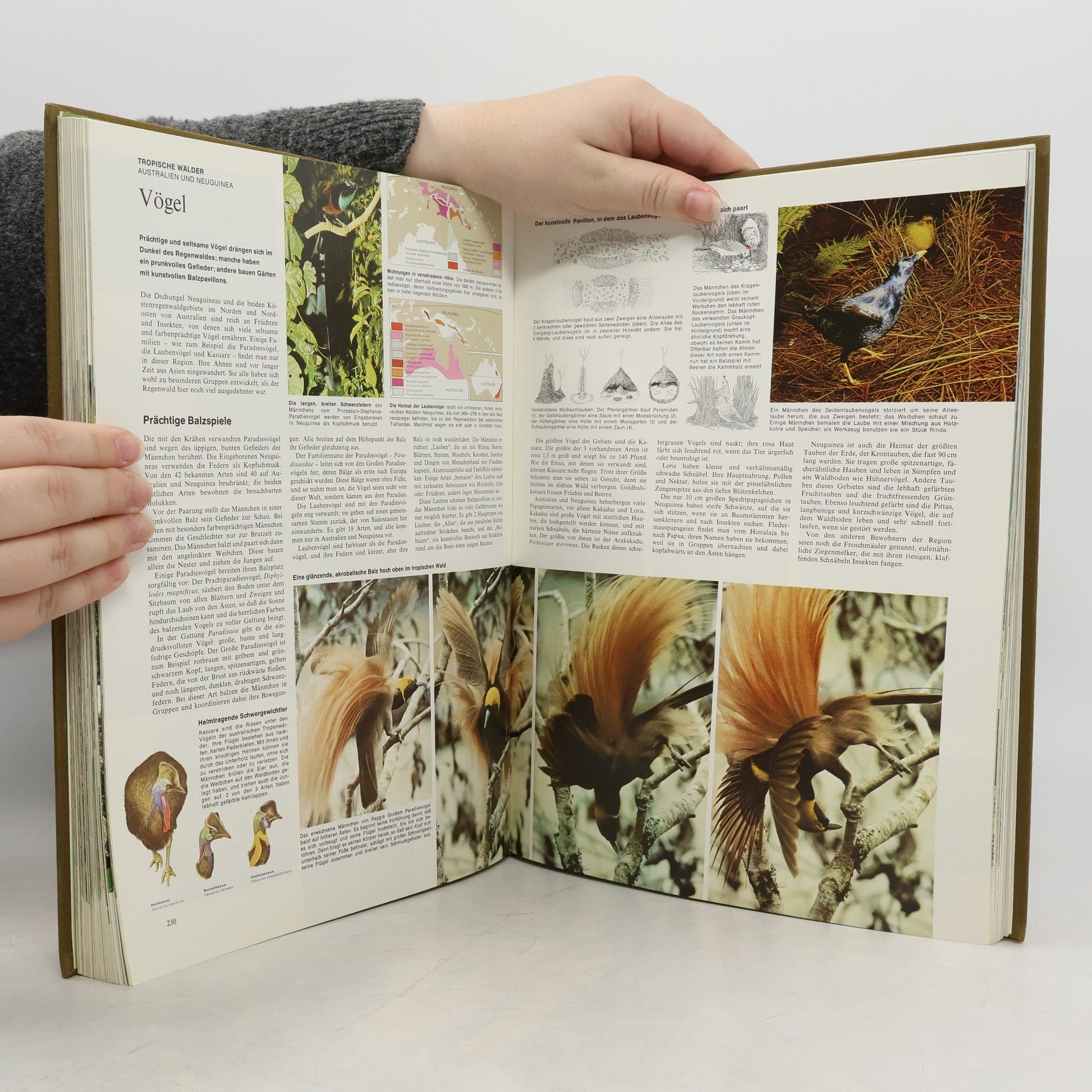 Autorenkollektiv Reader's Digest Bildatlas der Tierwelt