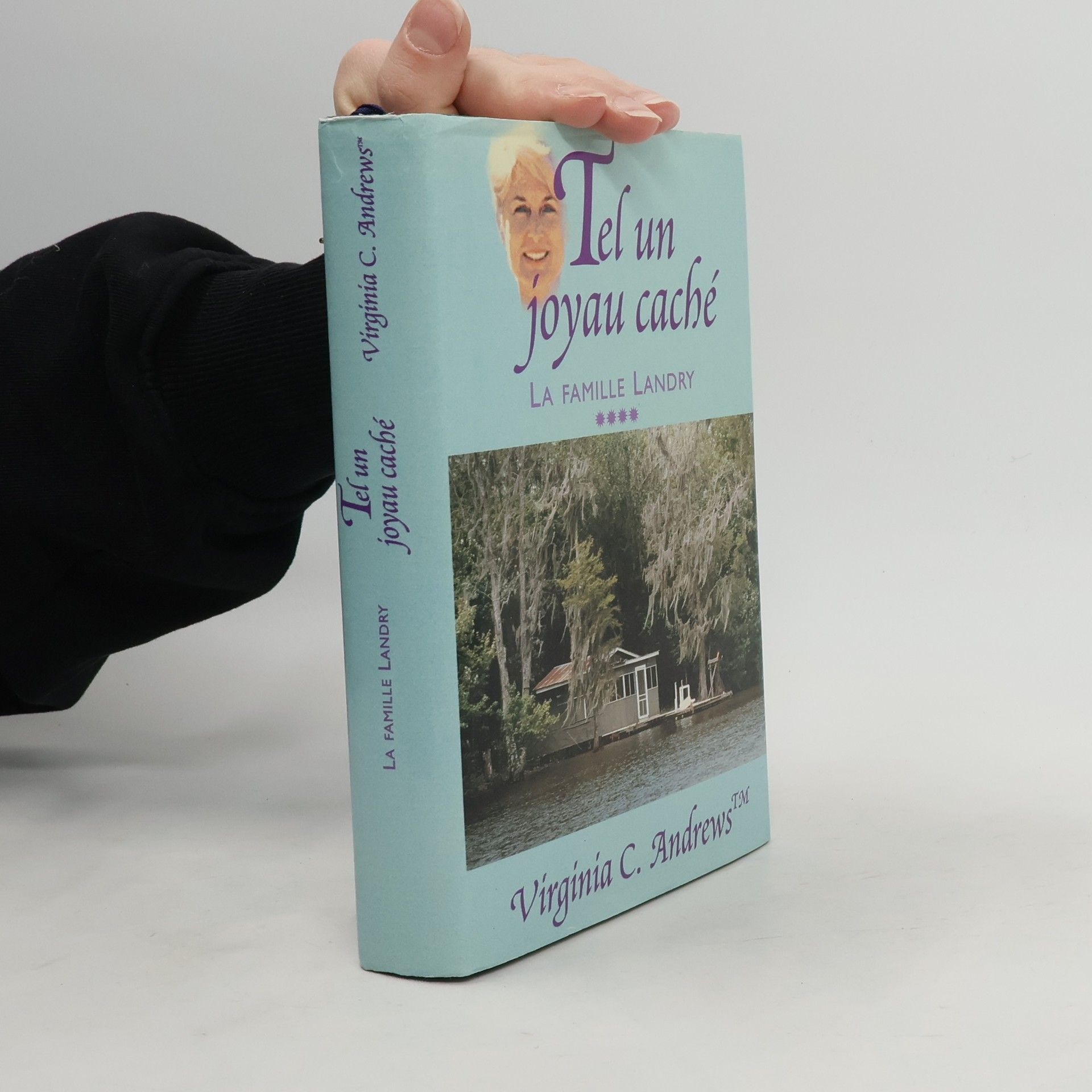 Françoise Jamoul La Famille Landry: Tel un joyau caché