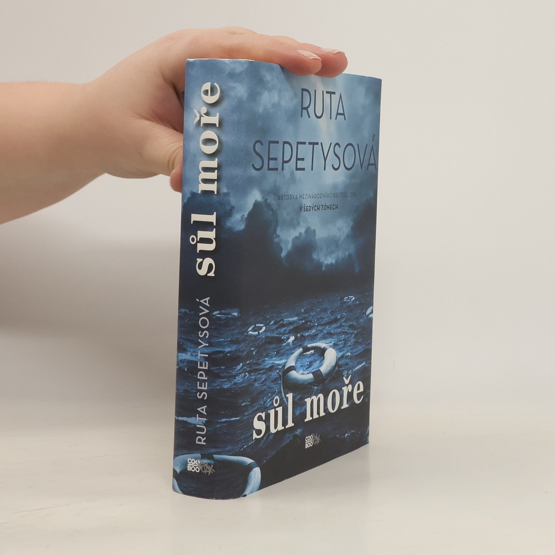 Ruta Sepetys Sůl moře