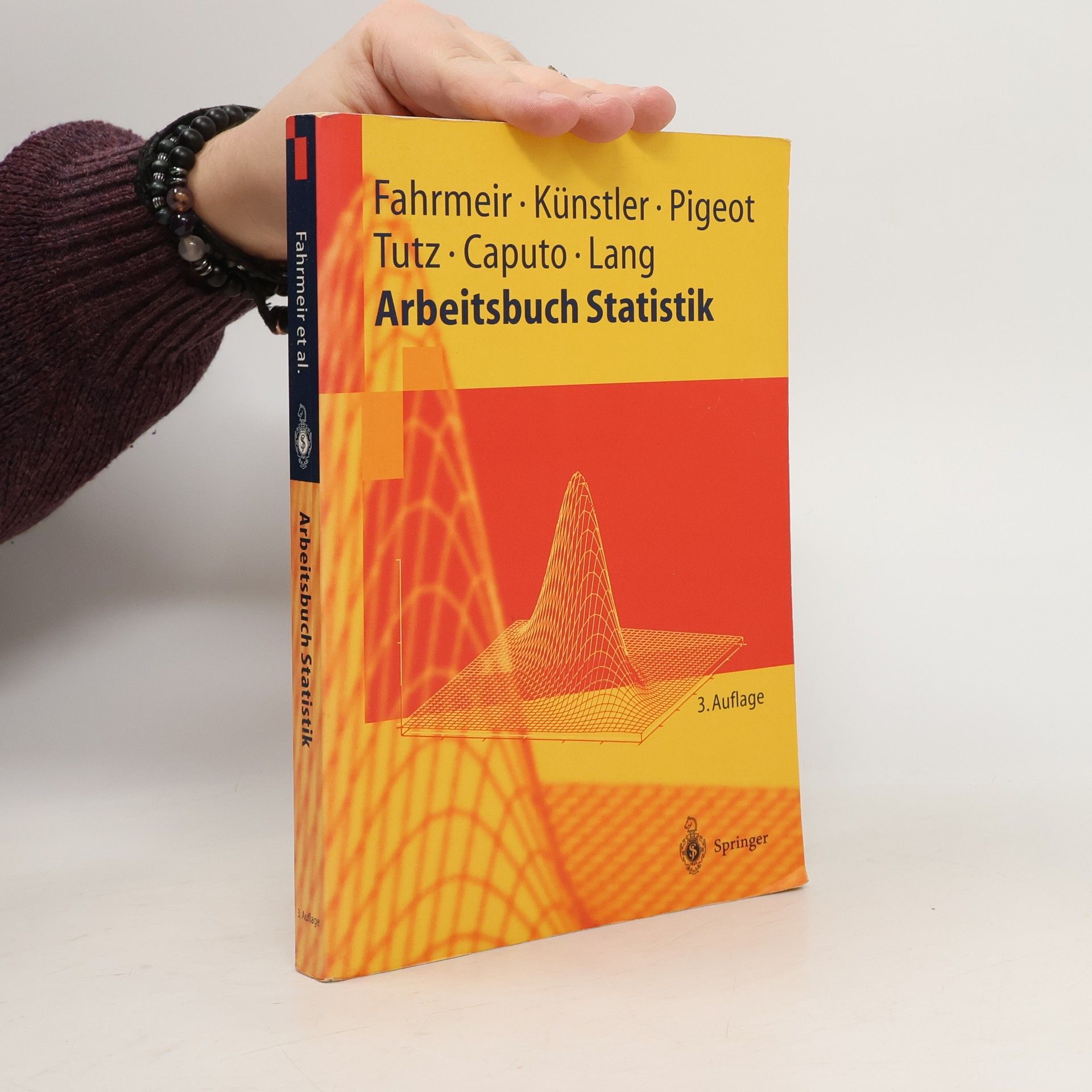 Springer-Lehrbuch: Arbeitsbuch Statistik