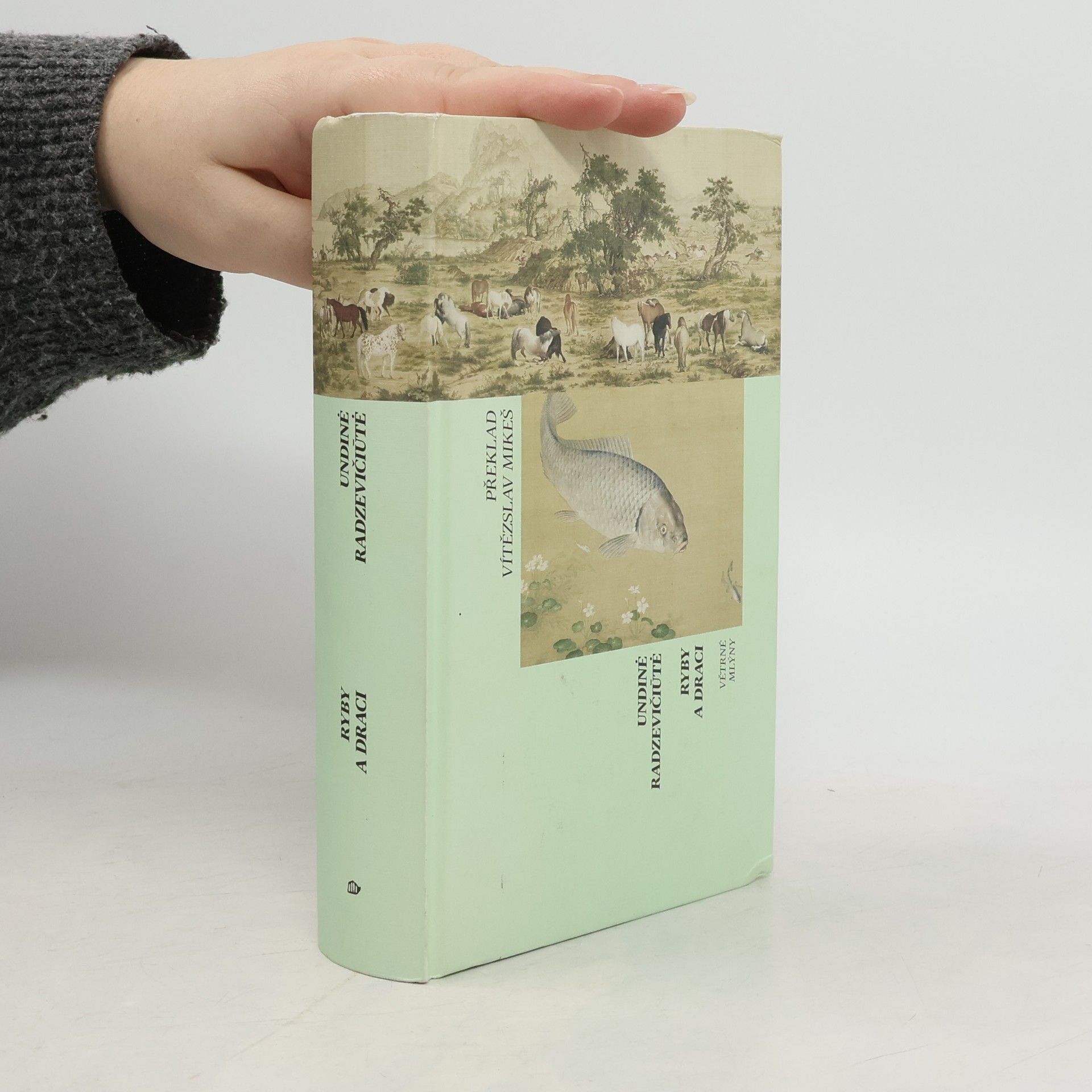 Undinė Radzevičiūtė Ryby a draci