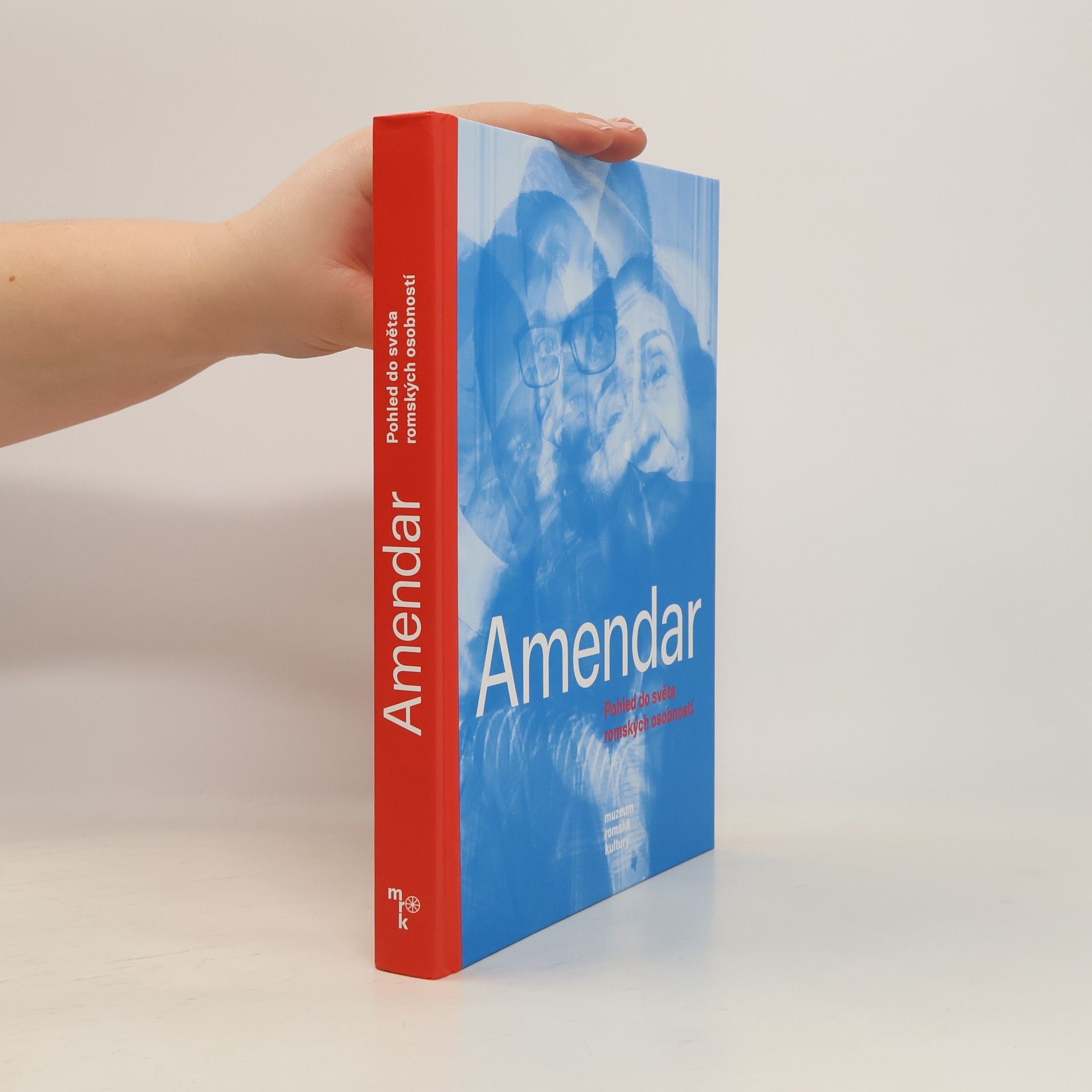 Jiřina Šiklová Amendar