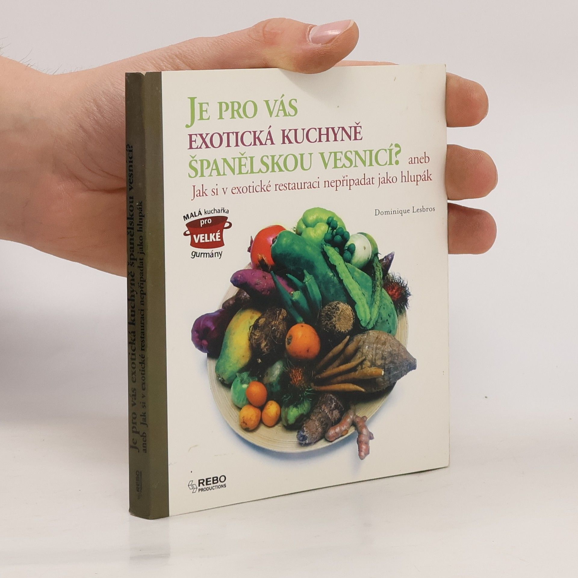 Dominique Lesbros Je pro vás exotická kuchyně španělskou vesnicí?