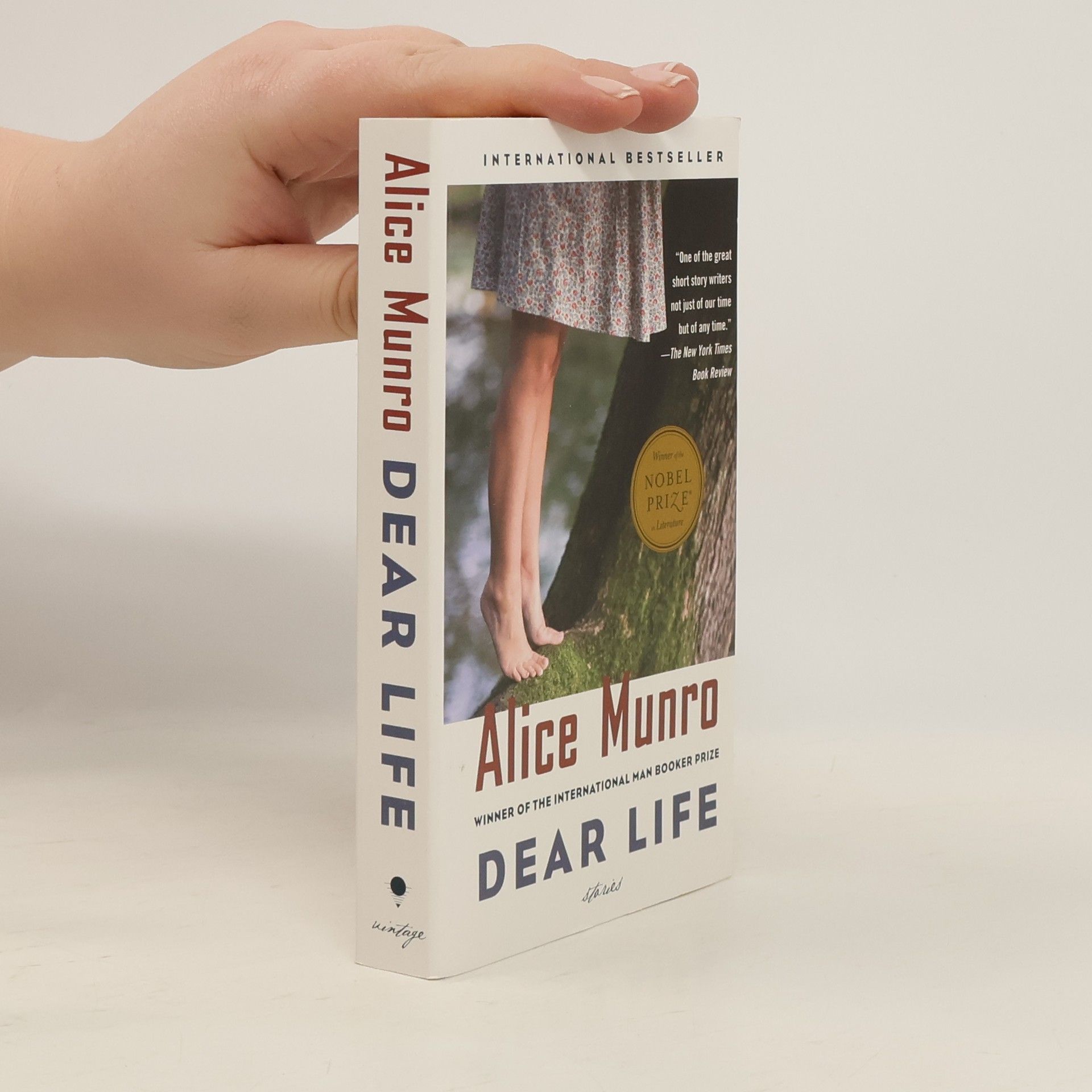 Alice Munro Dear Life