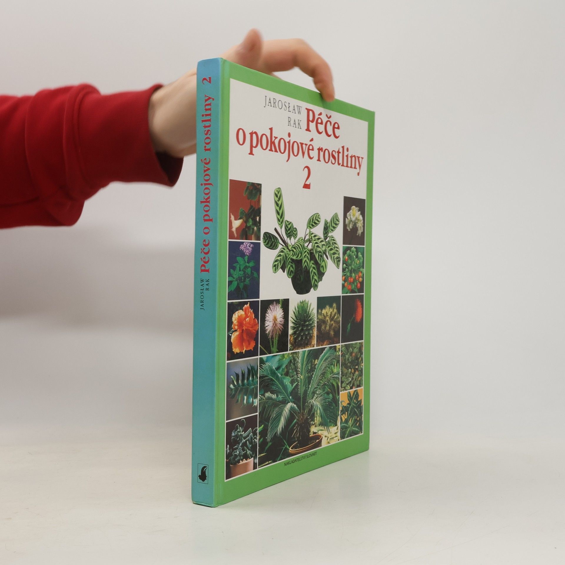 Jarosław Rak Péče o pokojové rostliny 2