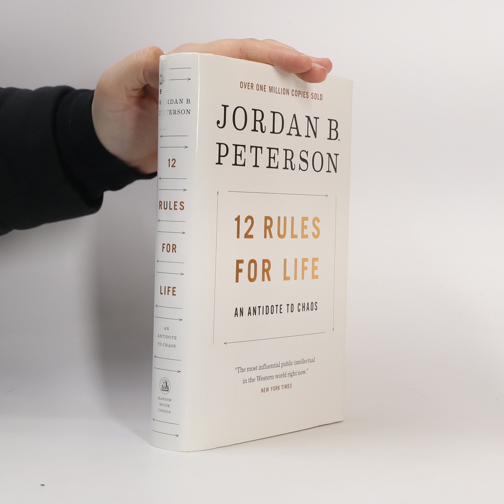 Jordan Peterson 12 Rules for Life