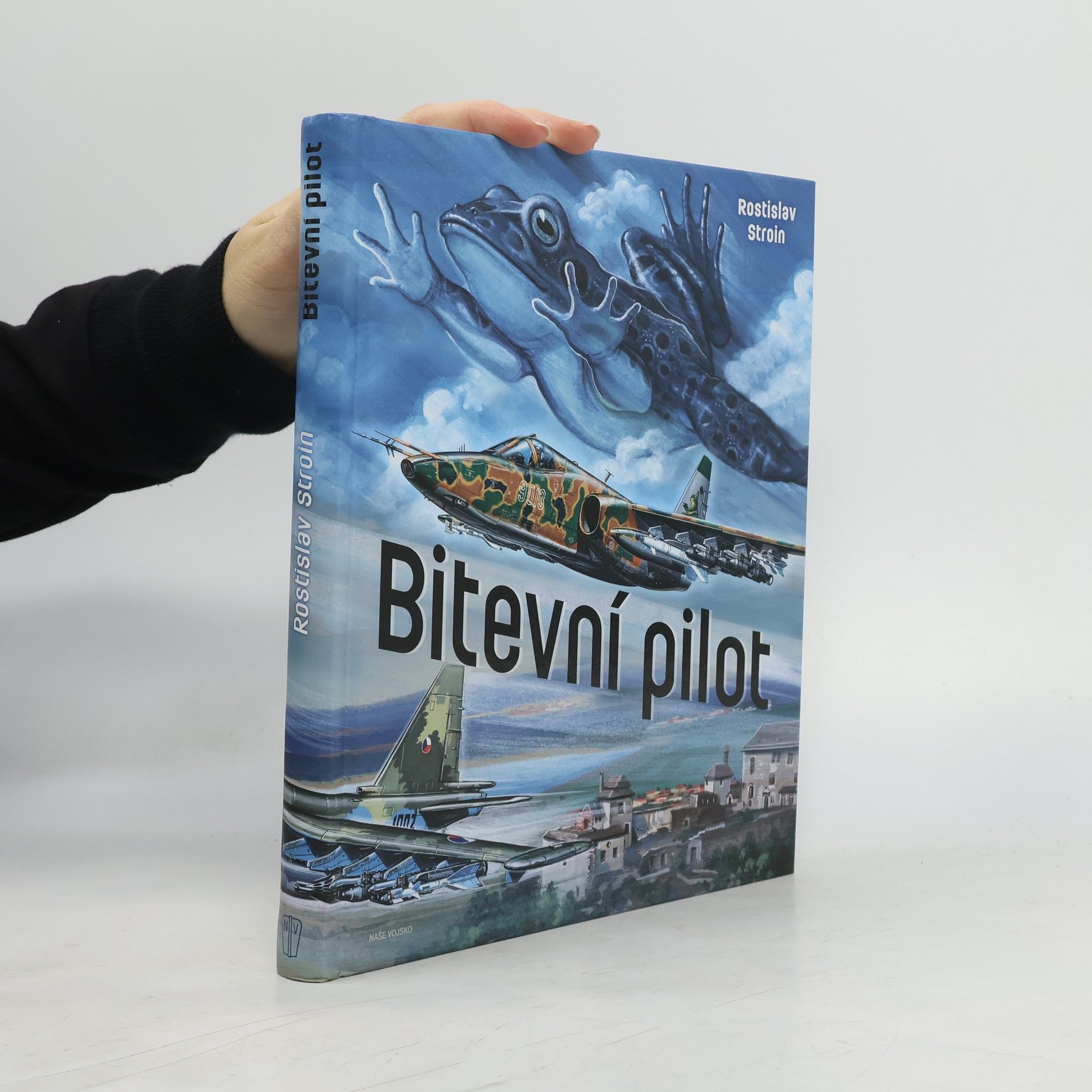 Rostislav Stroin Bitevní pilot