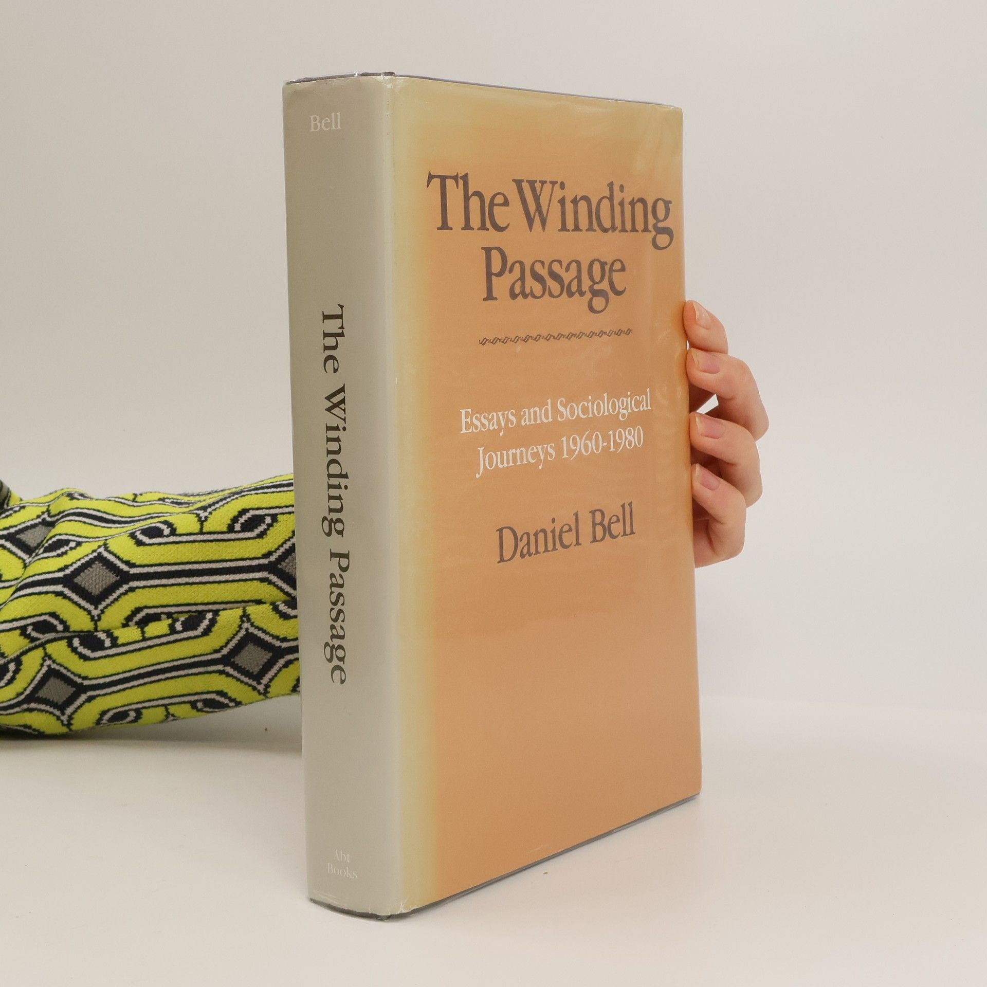 Daniel Bell The Winding Passage