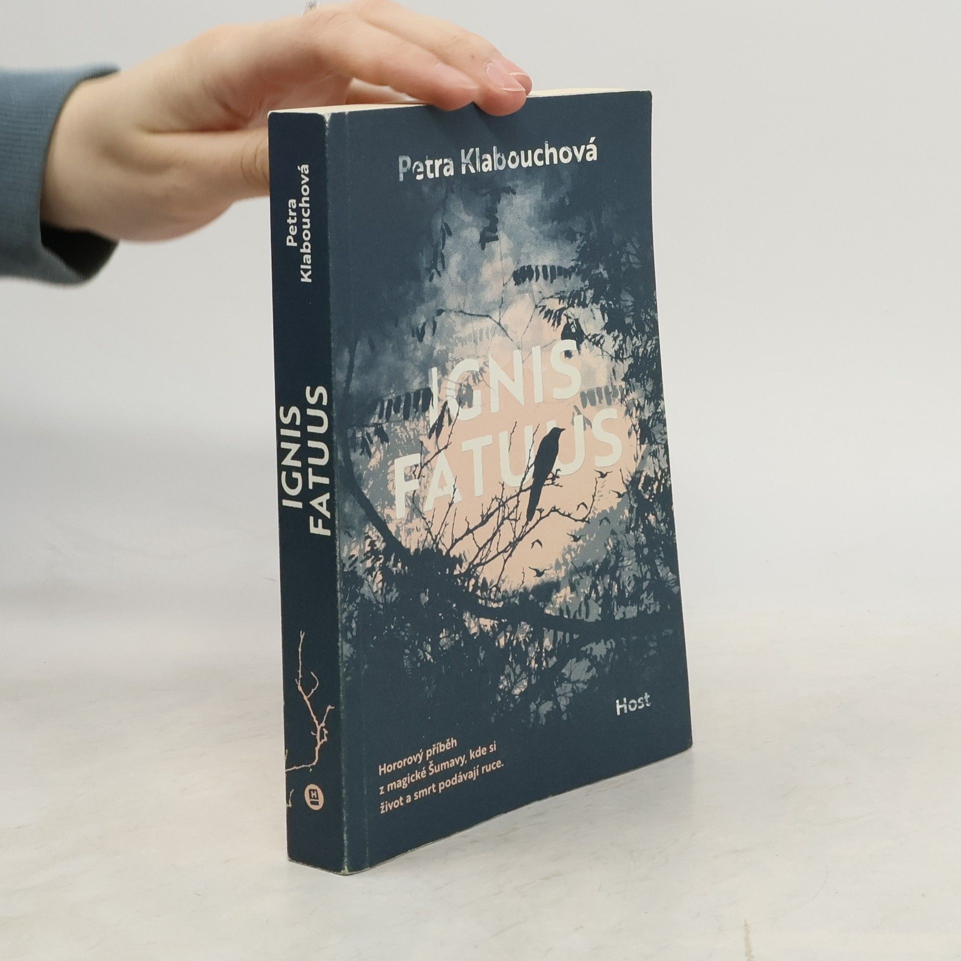 Petra Klabouchová Ignis fatuus