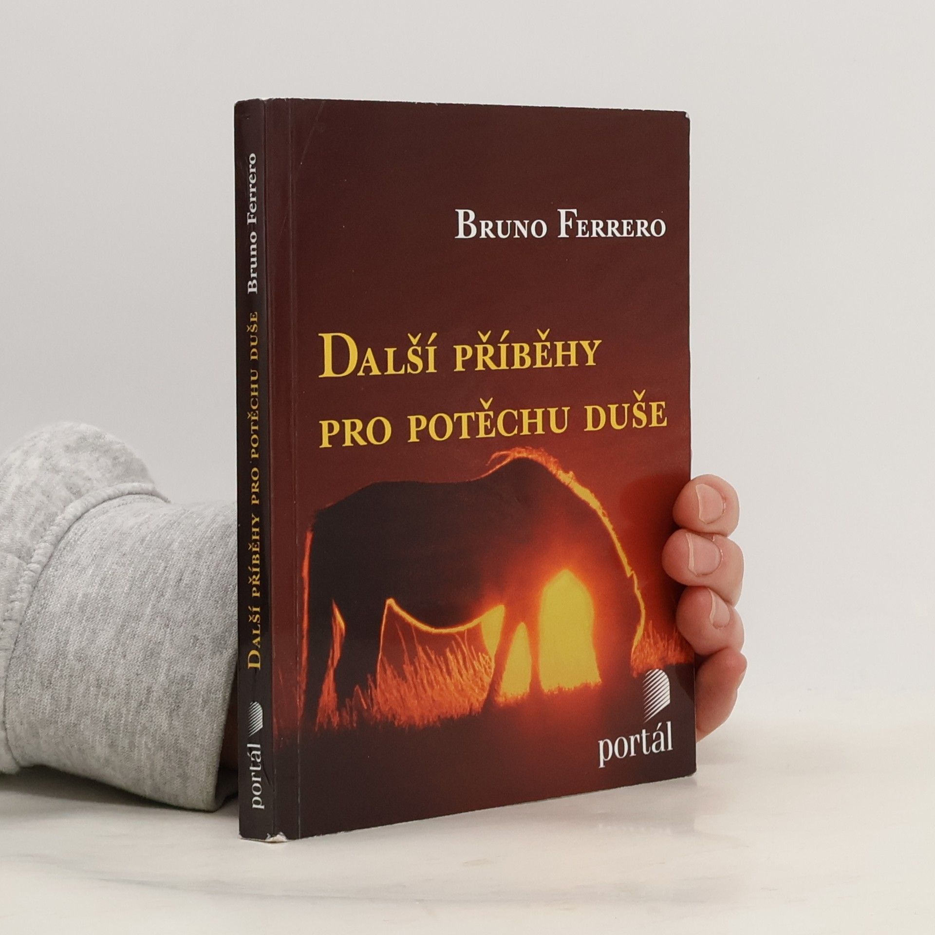 Další příběhy pro potěchu duše