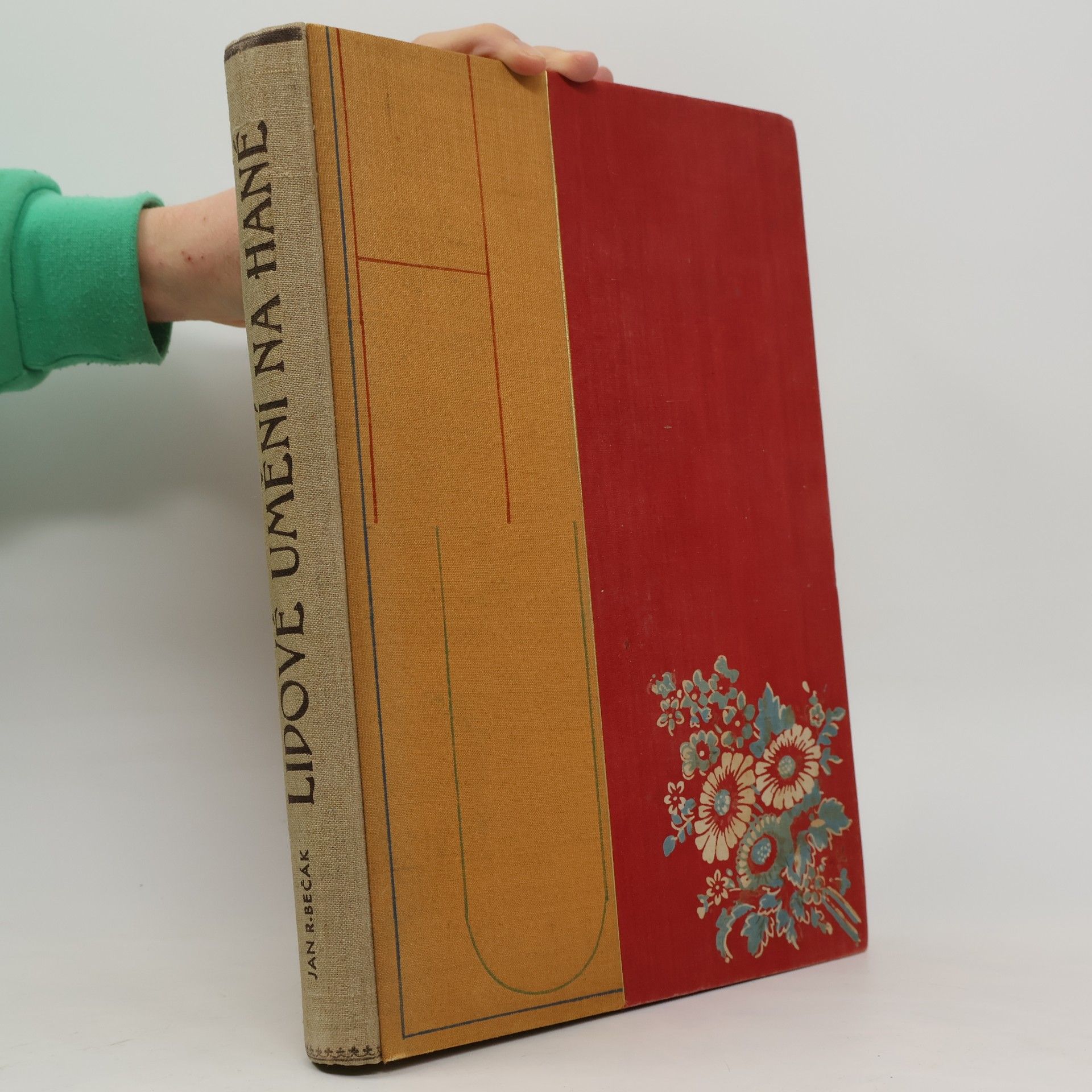 Lidové umění na Hané : lidová kultura hmotná