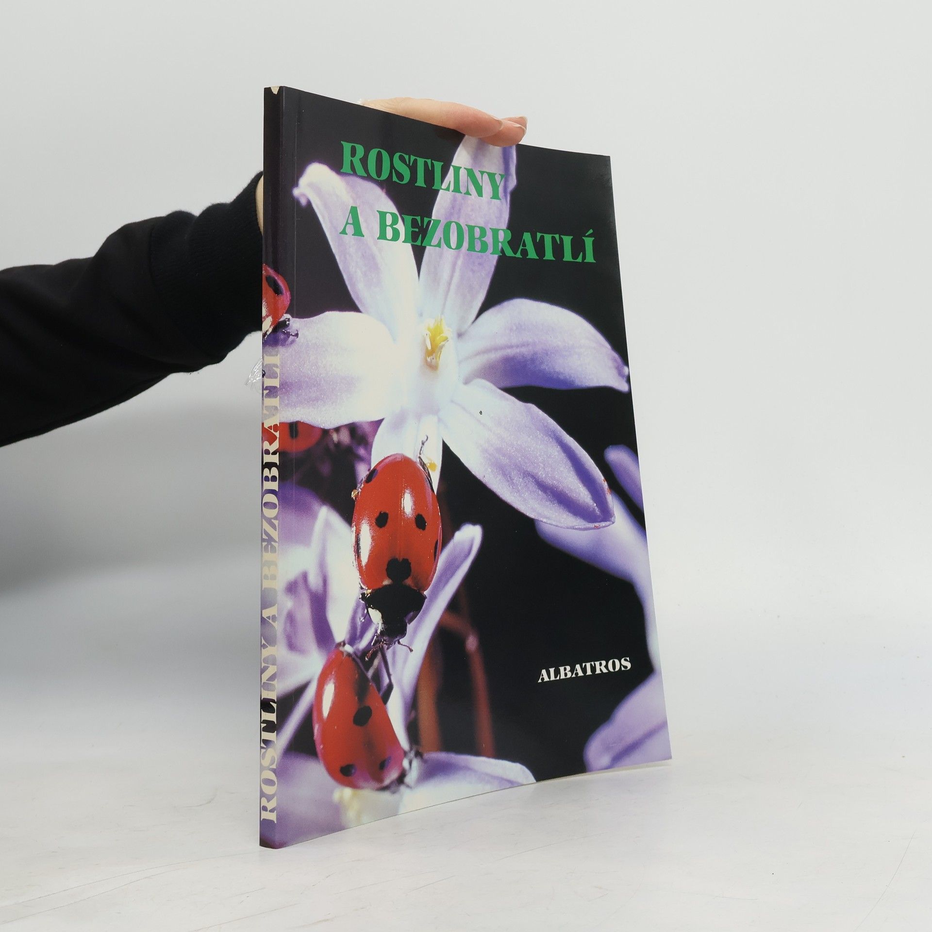 Rostliny a bezobratlí