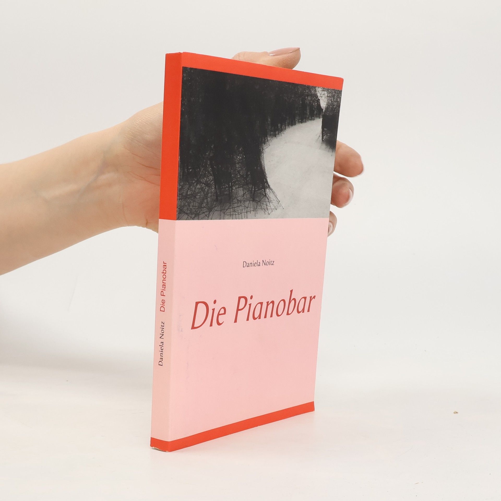 Daniela Noitz Die Pianobar