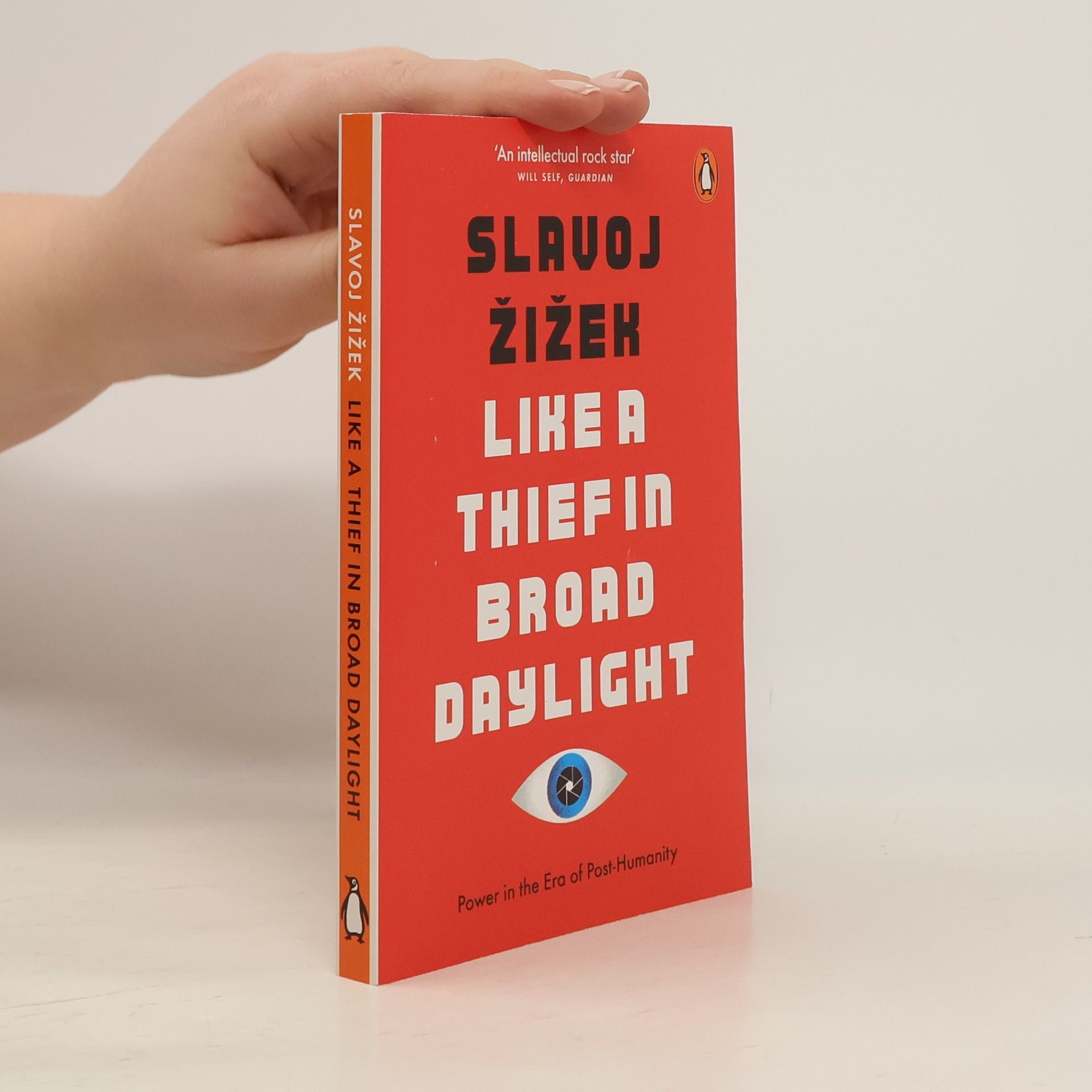 Slavoj Žižek Like a Thief in Broad Daylight