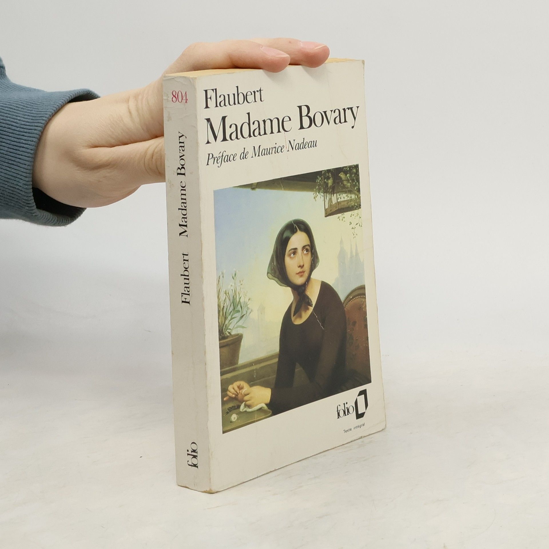 Gustave Flaubert Madame Bovary