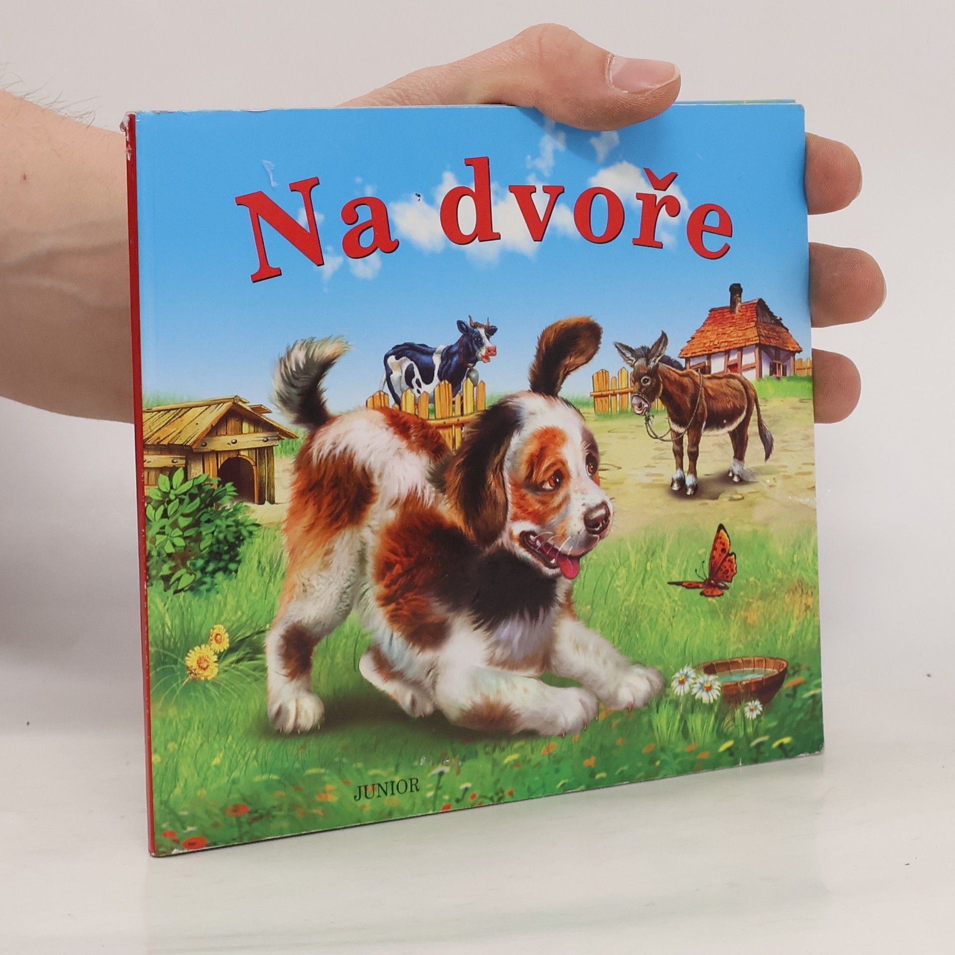 Zuzana Pospíšilová Na dvoře