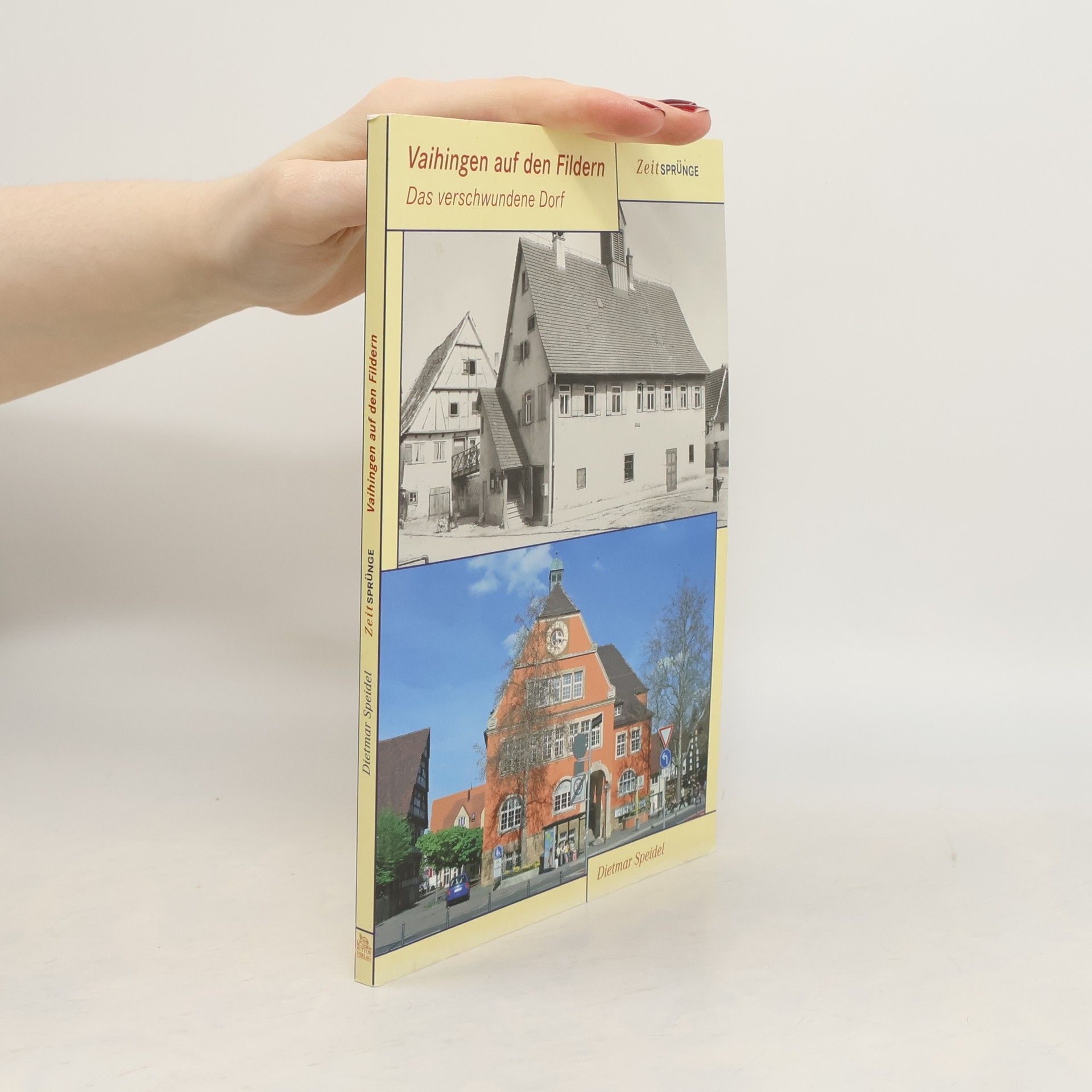 Dietmar Speidel Vaihingen auf den Fildern