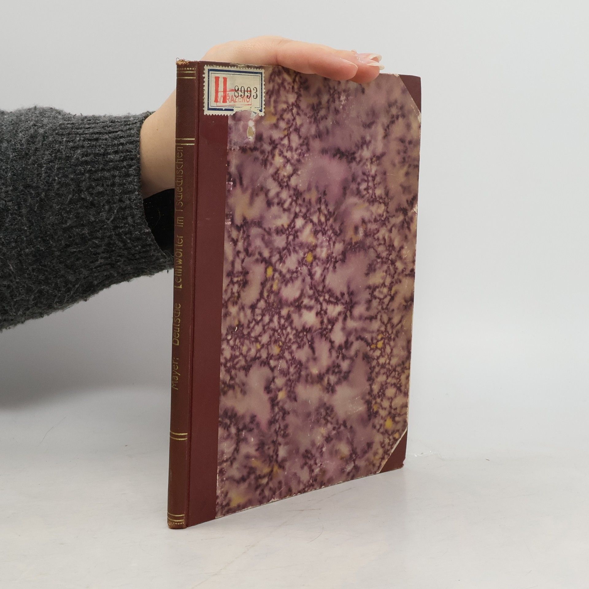 Franz Anton Mayer Die deutschen Lehnwörter im Tschechischen