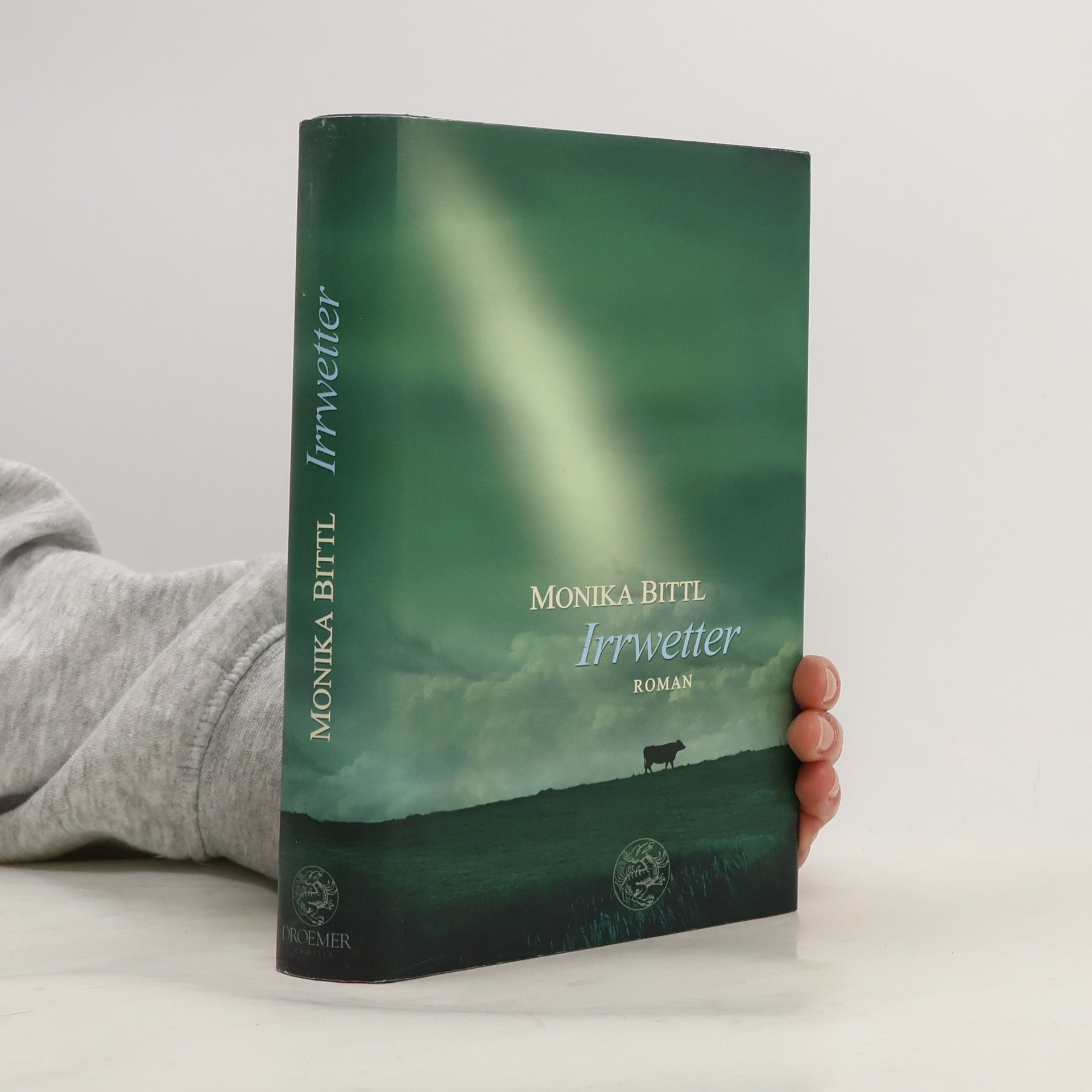 Monika Bittl Irrwetter