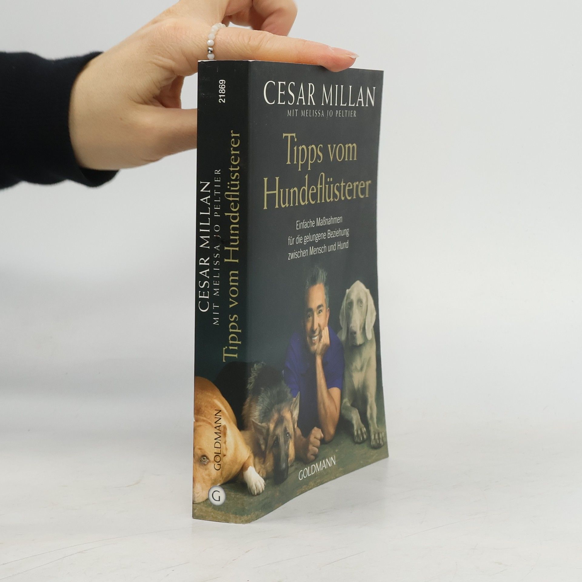 Cesar Millan Tipps vom Hundeflüsterer