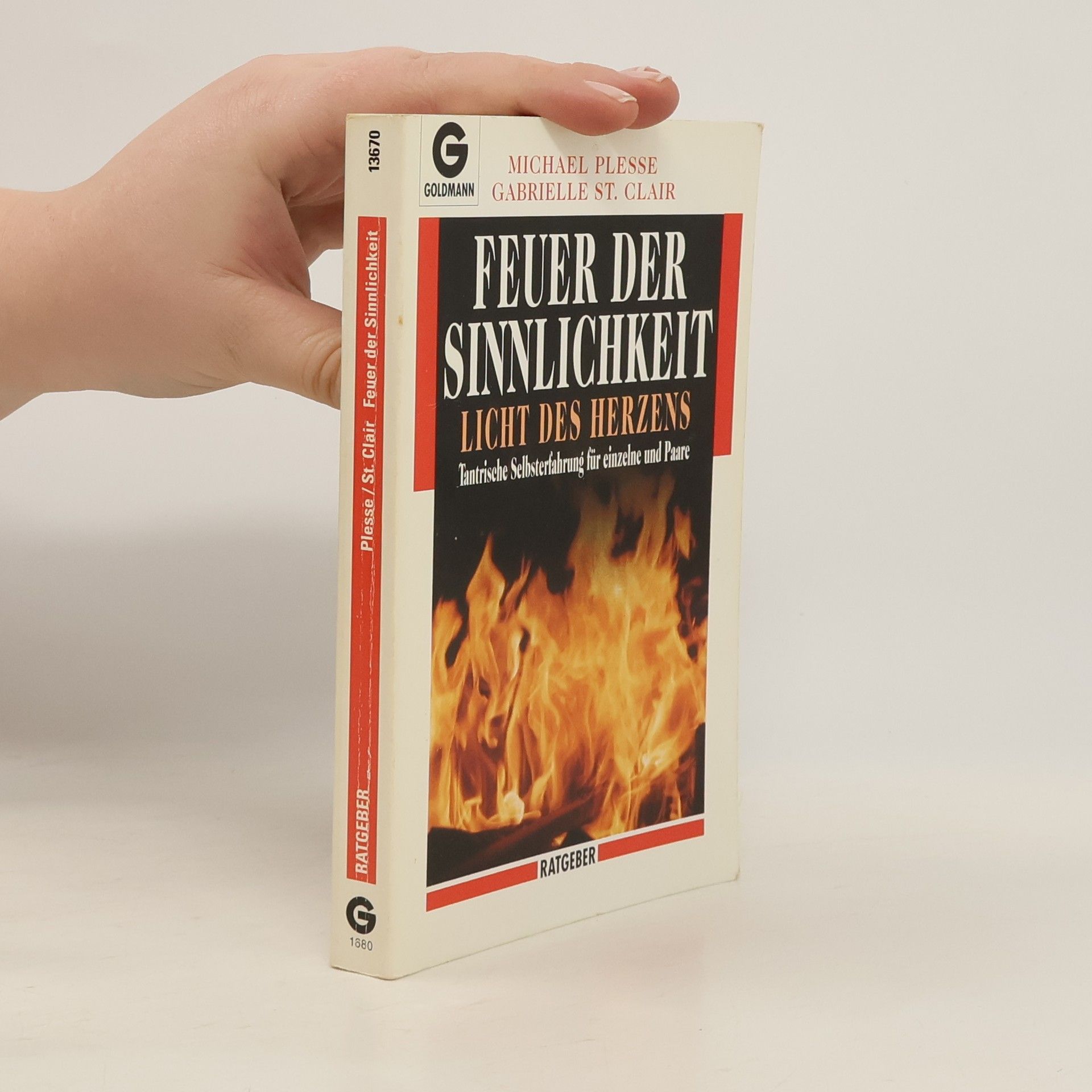 Michael Plesse Feuer der Sinnlichkeit, Licht des Herzens