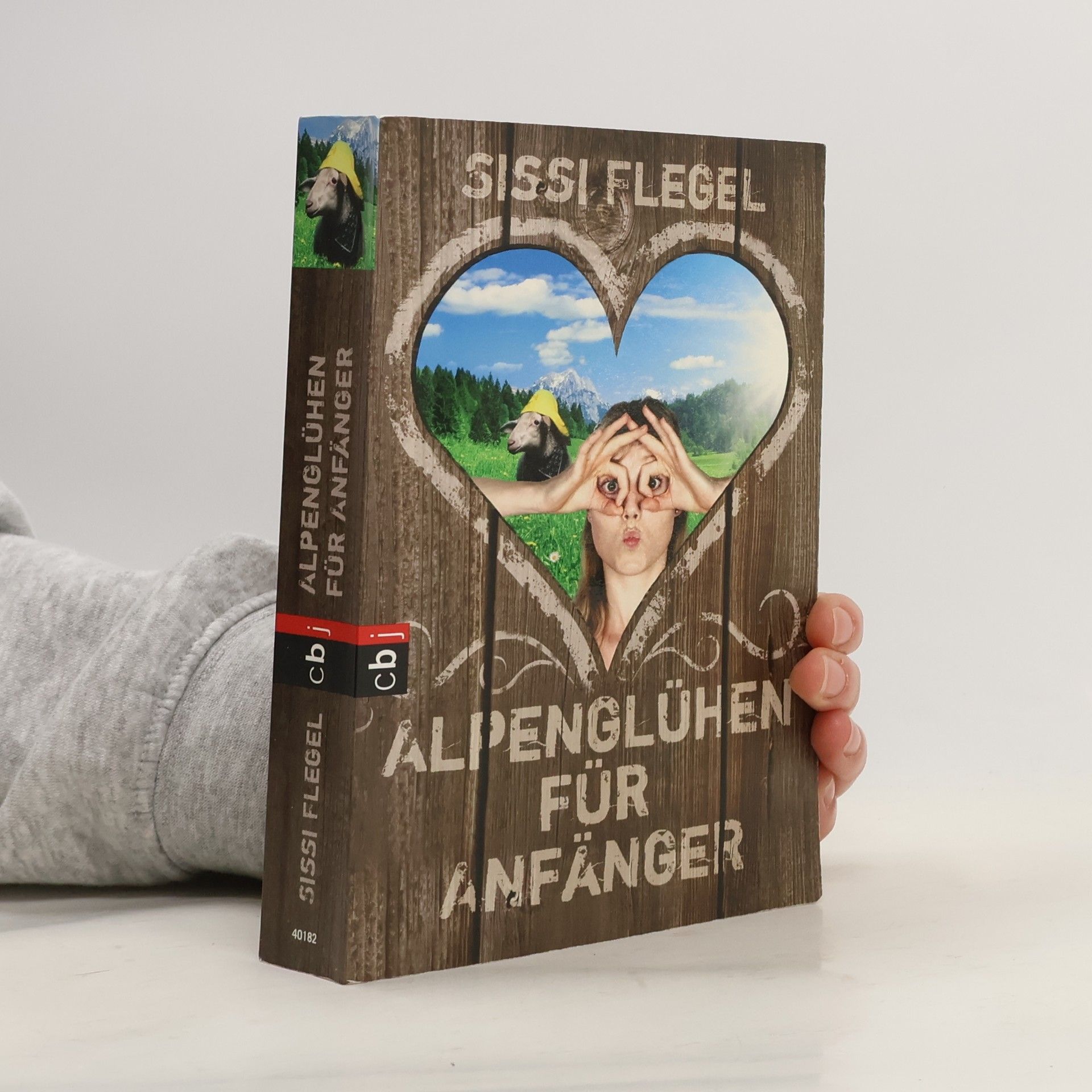 Sissi Flegel Alpenglühen für Anfänger