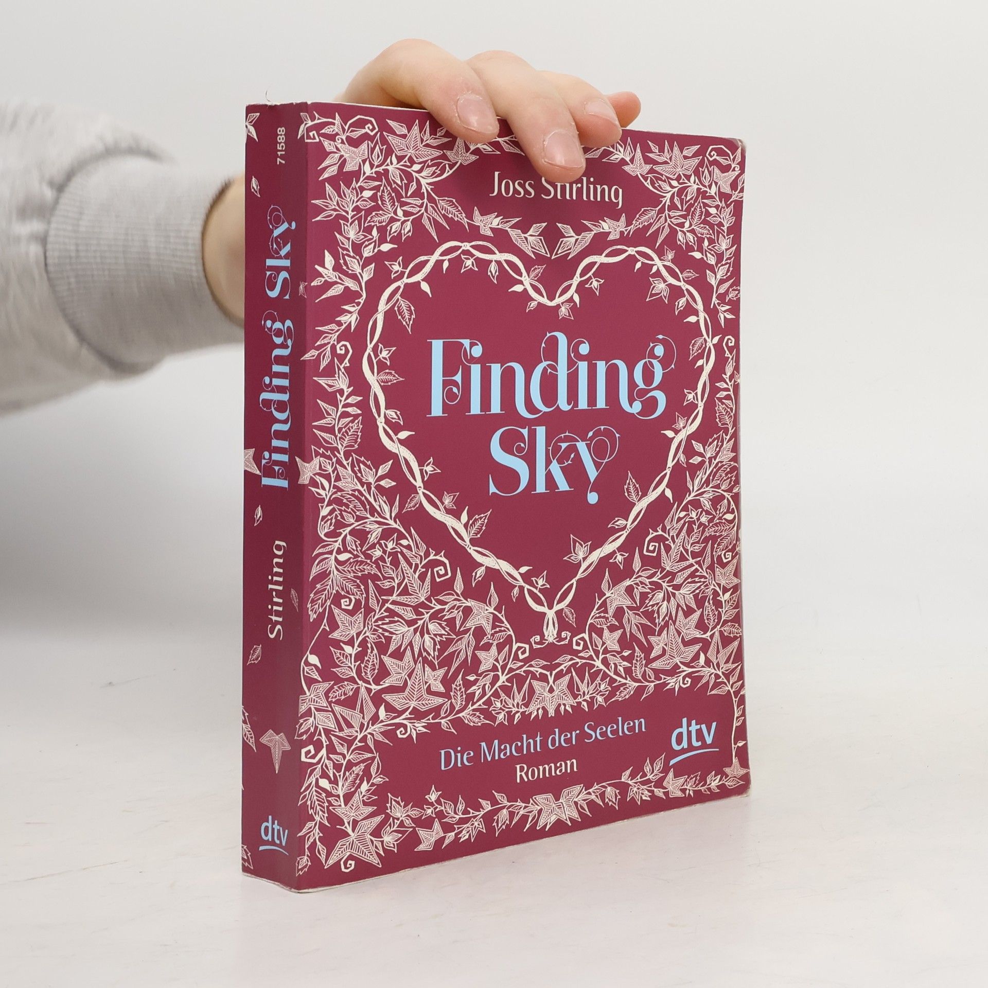 Julia Golding Finding Sky