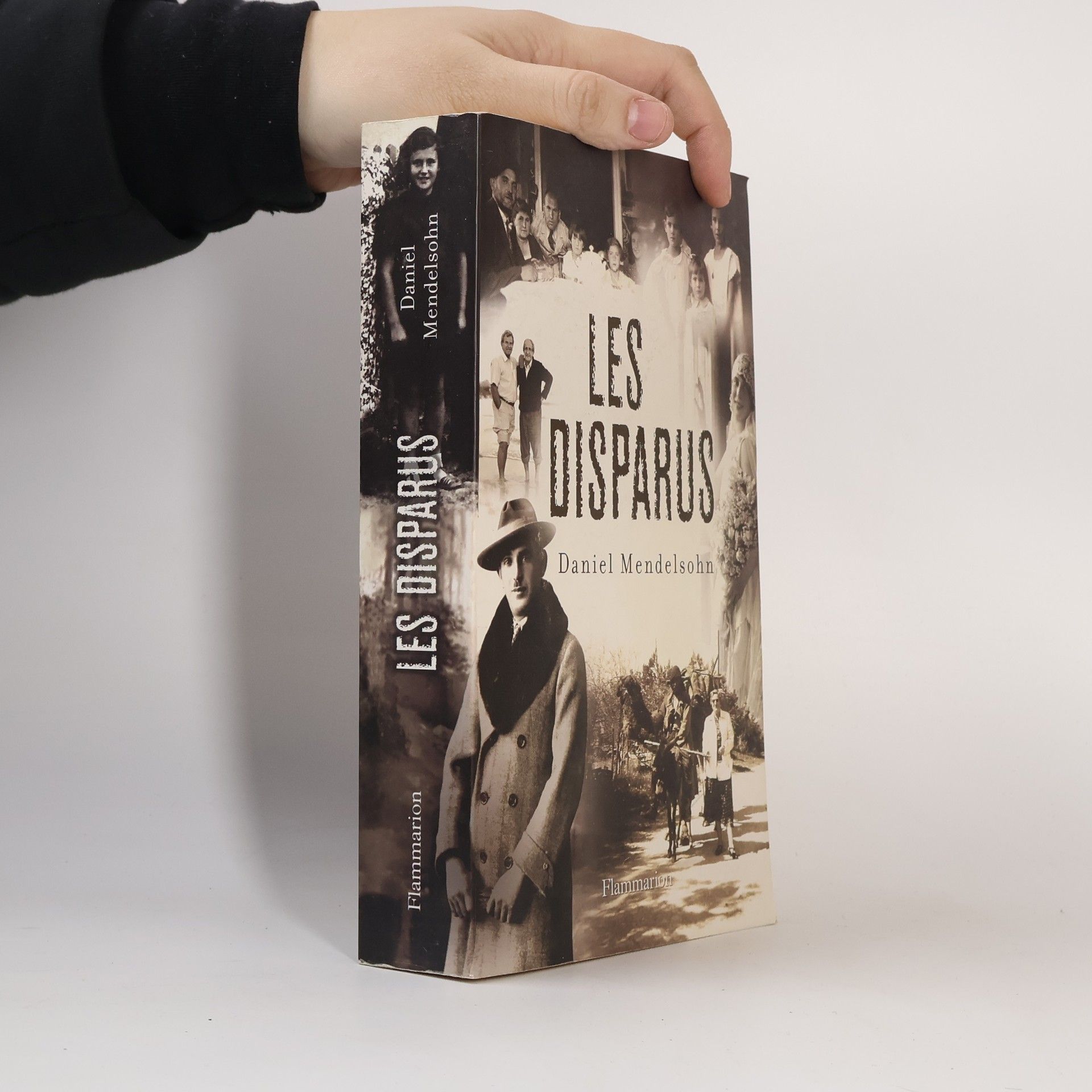 Daniel Mendelsohn Les disparus