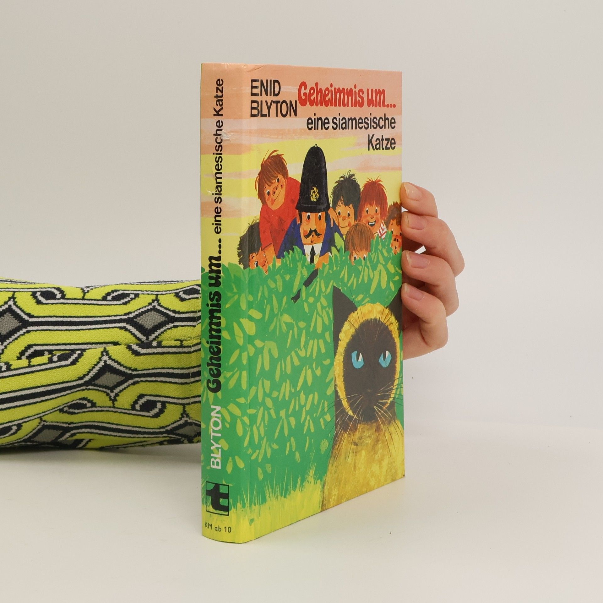 Enid Blyton Geheimnis um ... eine siamesische Katze