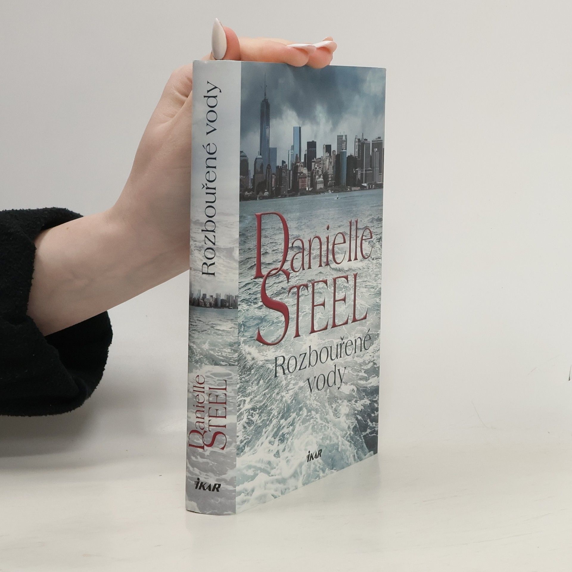 Danielle Steel Rozbouřené vody