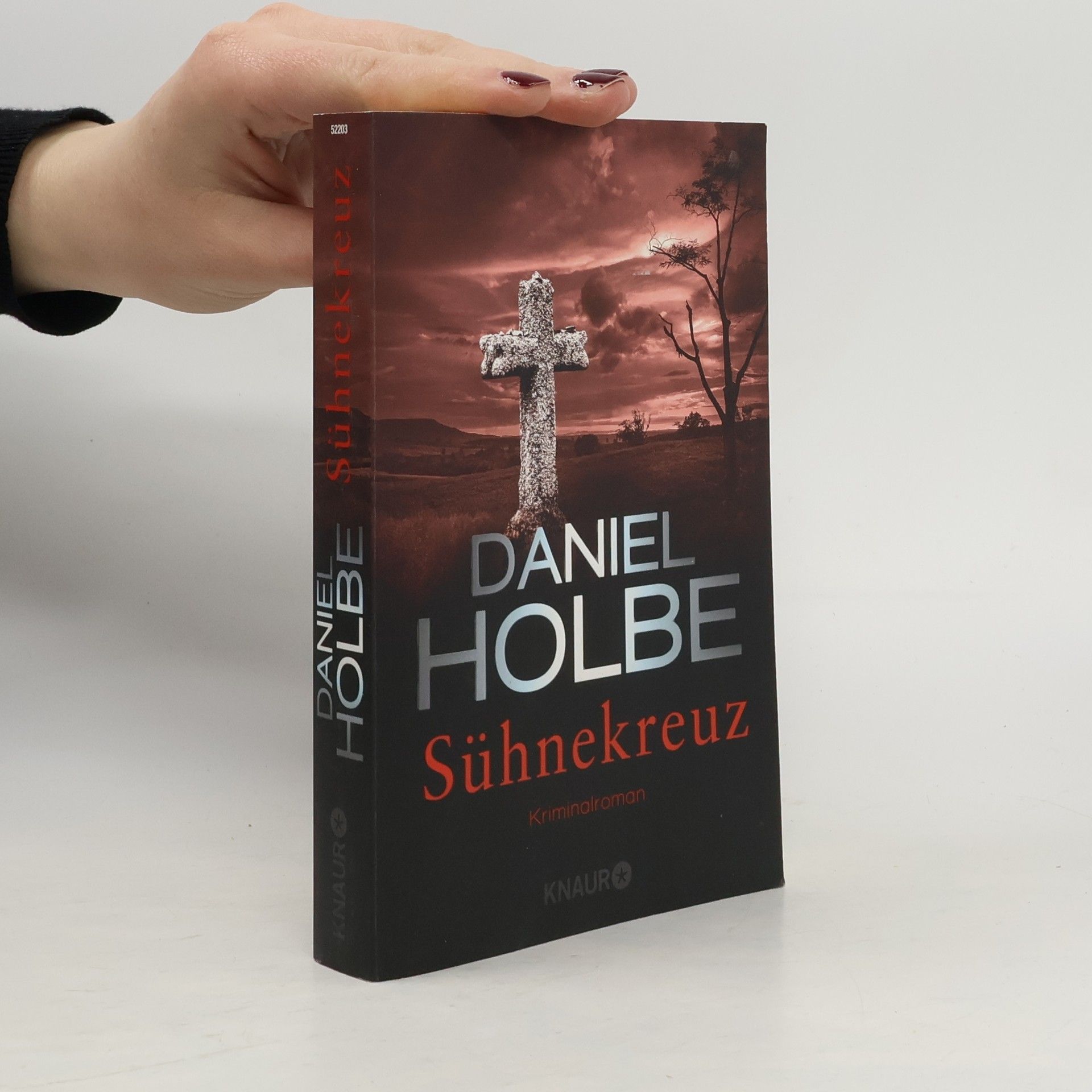 Daniel Holbe Sühnekreuz