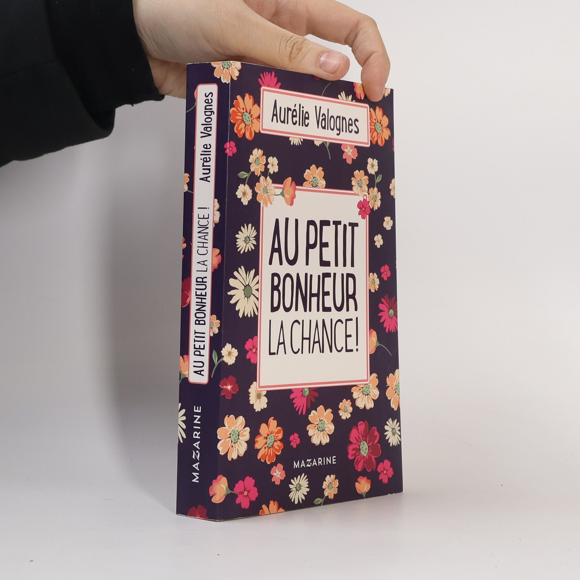 Aurélie Valognes Au petit bonheur la chance!