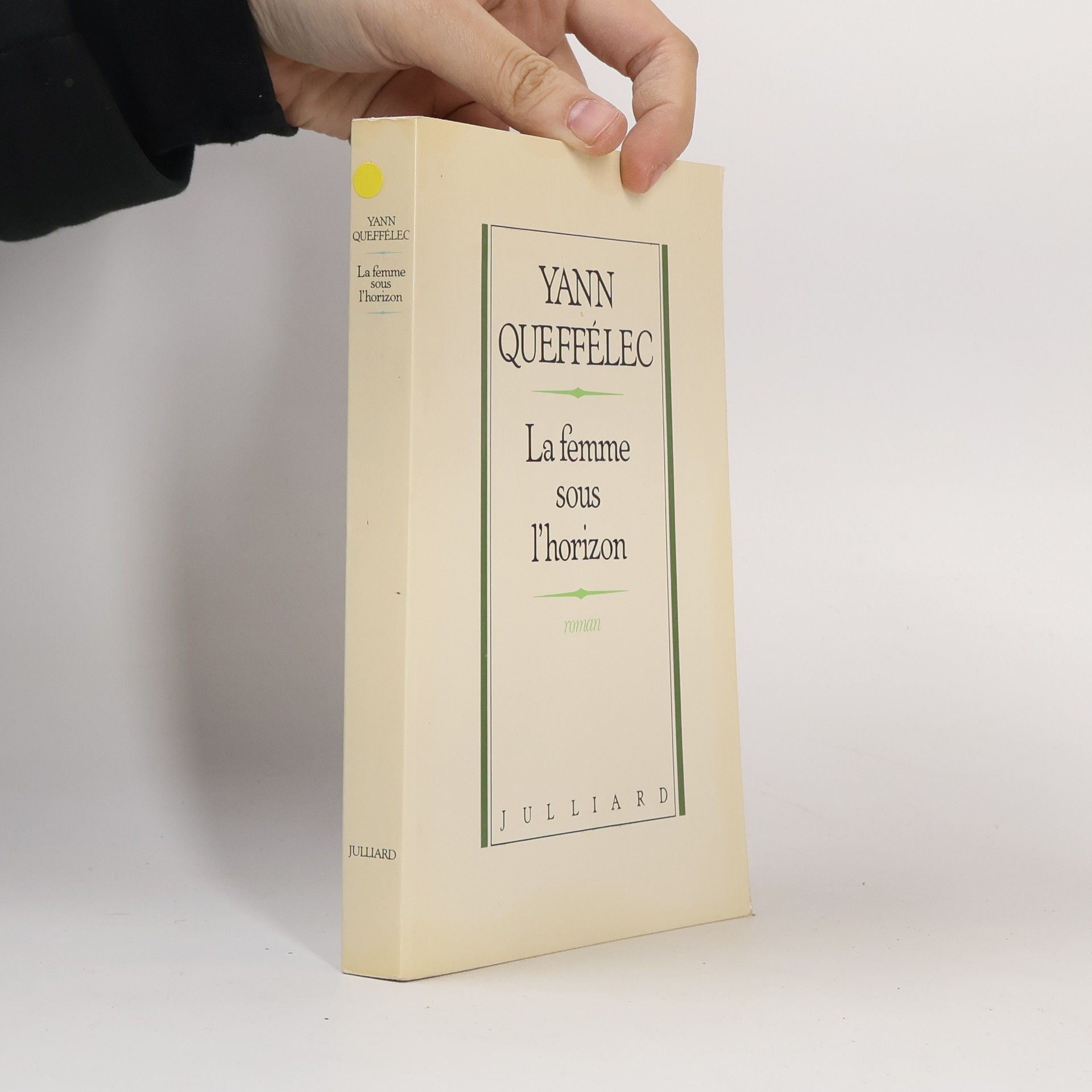 Yann Queffélec La femme sous l'horizon