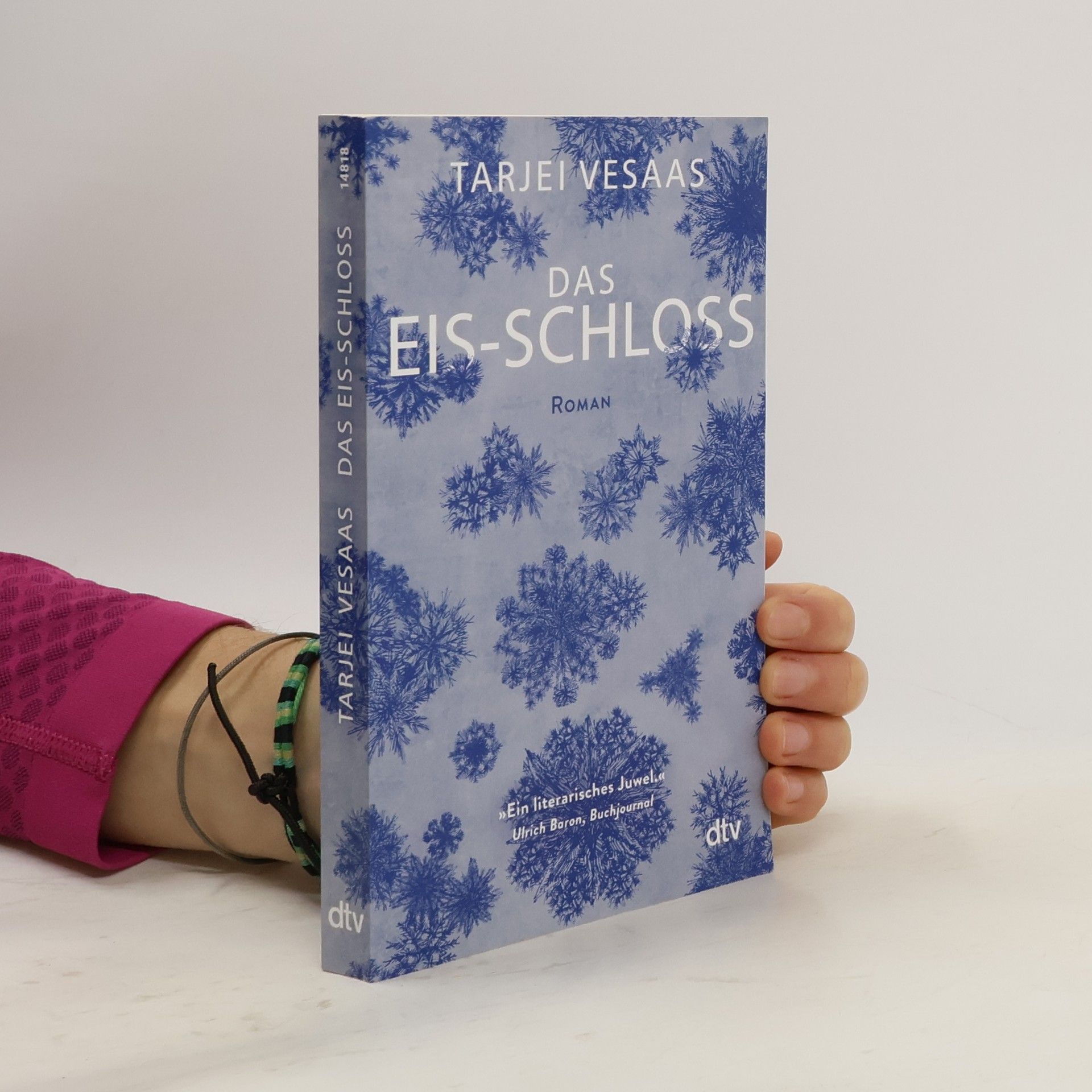 Tarjei Vesaas Das Eis-Schloss