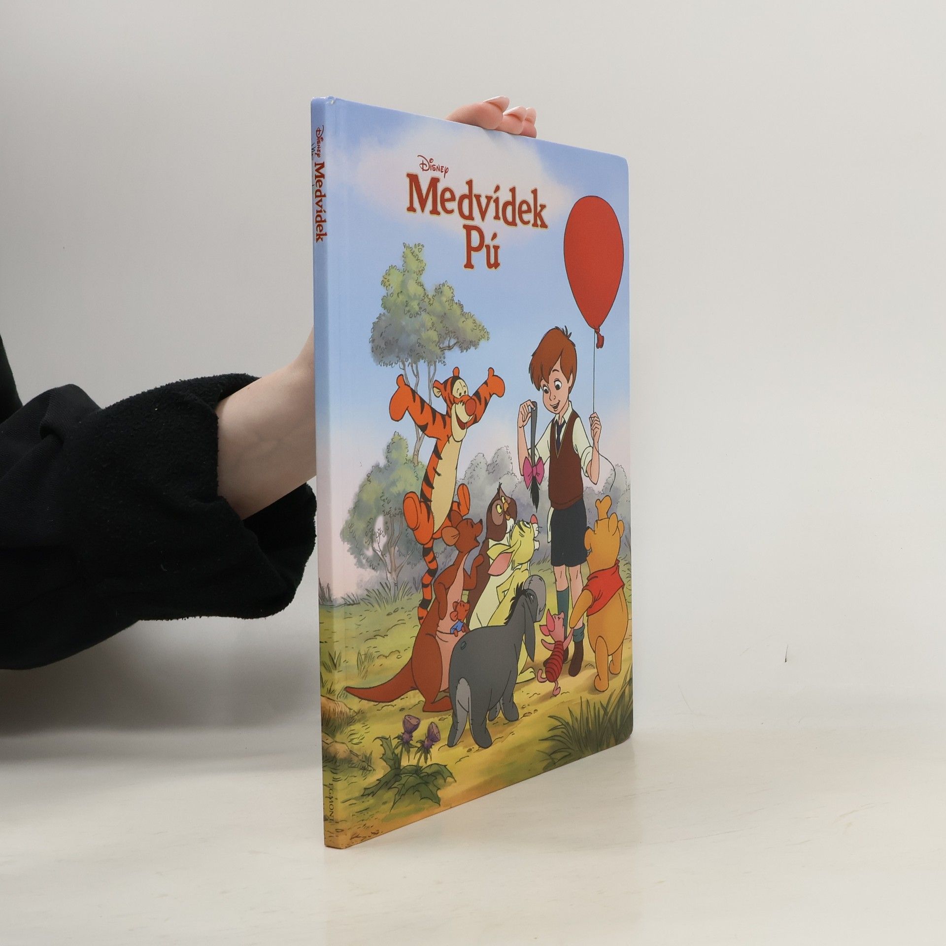 Autorenkollektiv Medvídek Pú