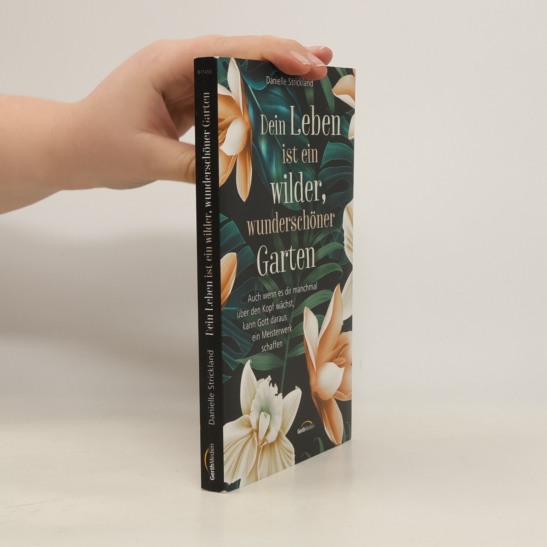 Samantha Young Jamaica Lane: Heimliche Liebe